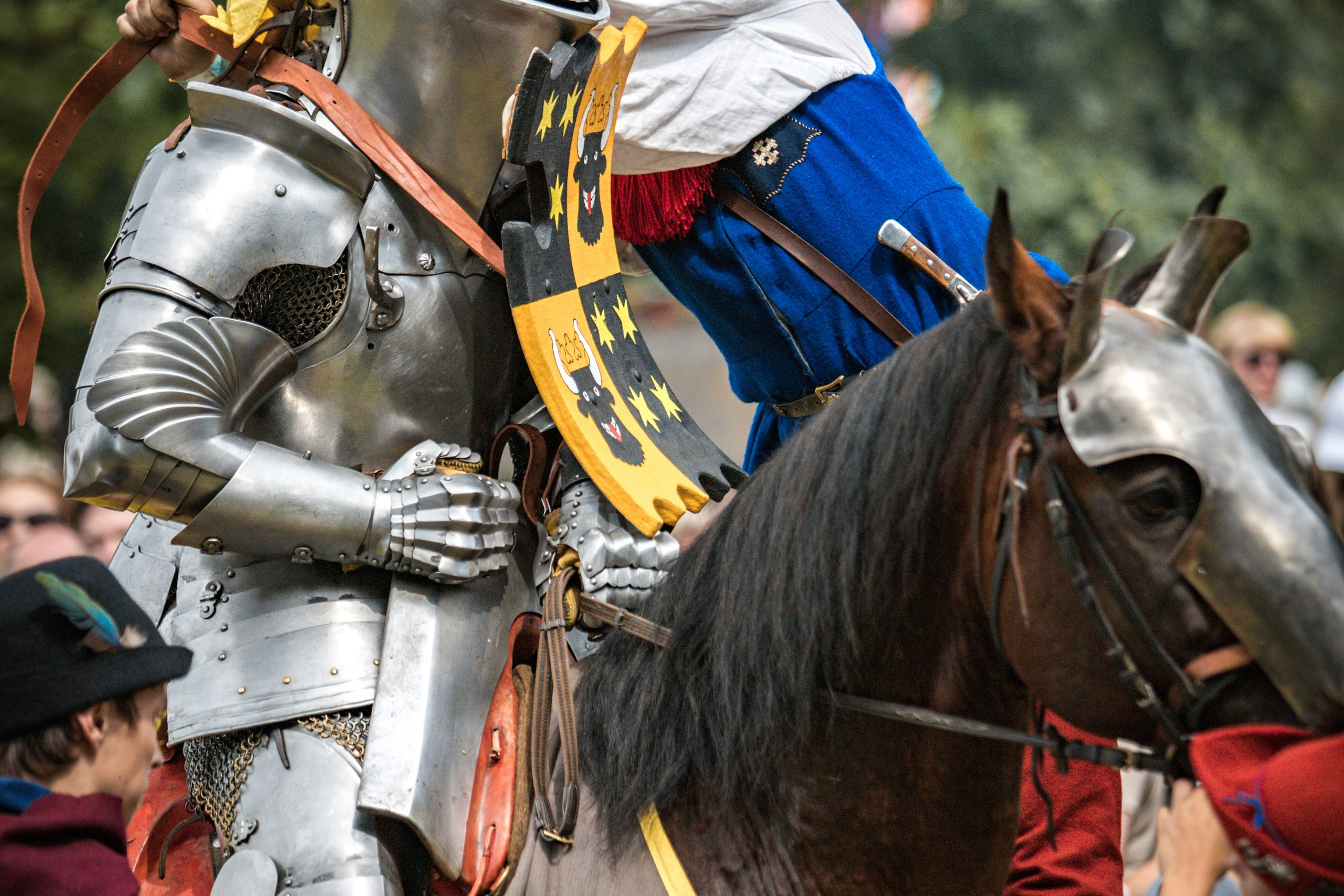 Наш Грюнвальд 2025. Рыцарский турнир. Профессиональный интерьерный и репортажный фотограф Минск и РБ. Максим Орлов