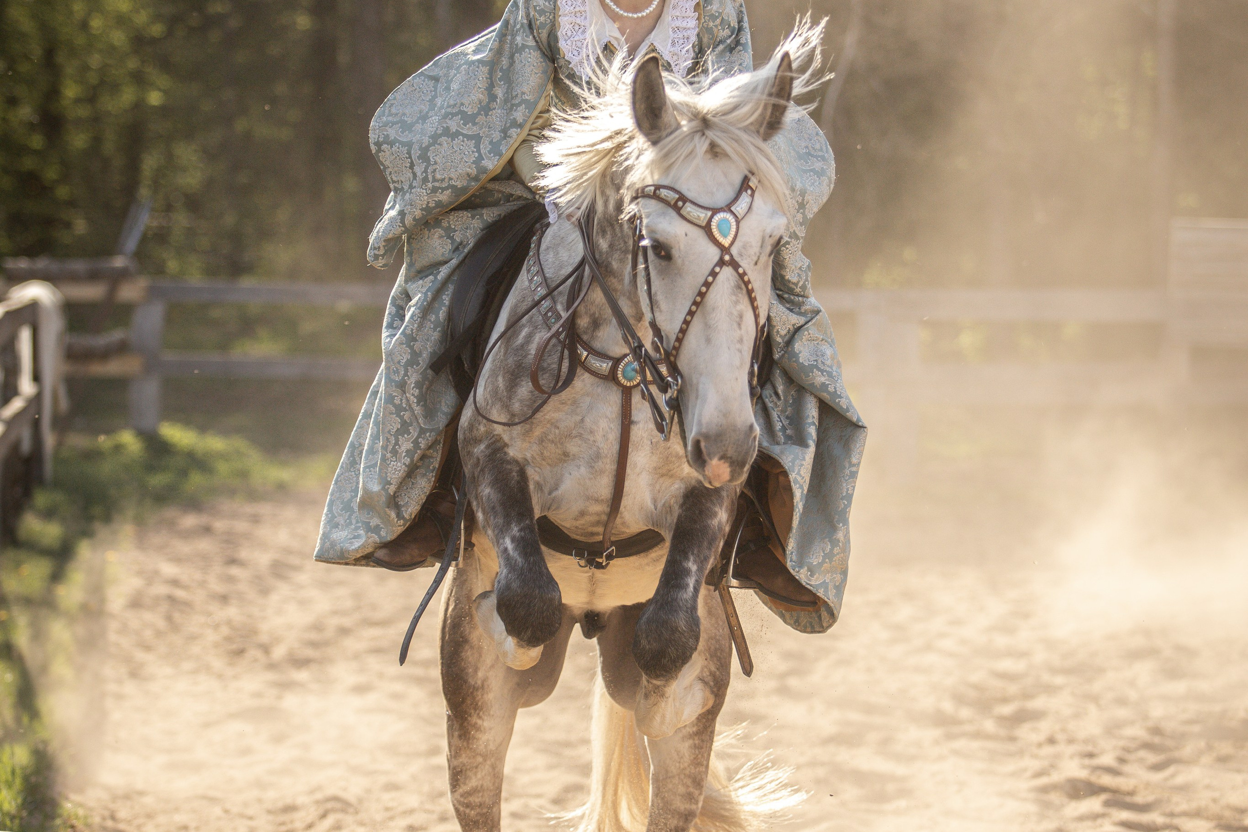 Золотая Шпора. Огнем и Мечем. День первый. Рыцарский турнир. Профессиональный интерьерный и репортажный фотограф Минск и РБ. Максим Орлов