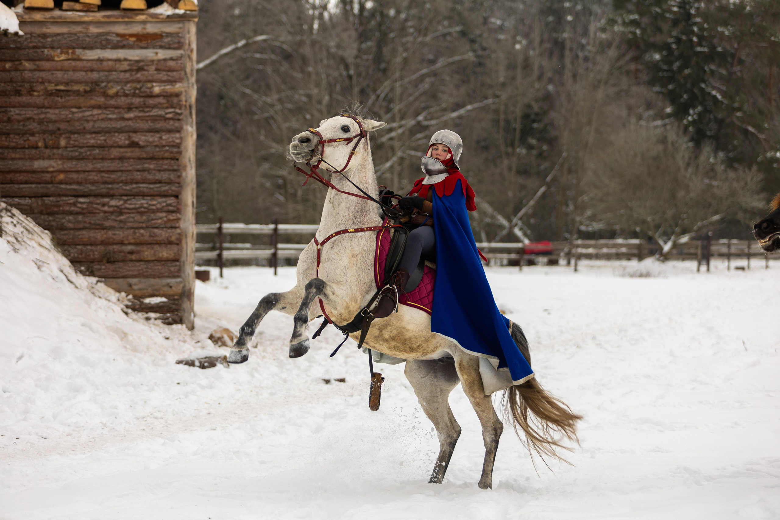 Зимние рыцарские маневры. Профессиональный интерьерный и репортажный фотограф Минск и РБ. Максим Орлов