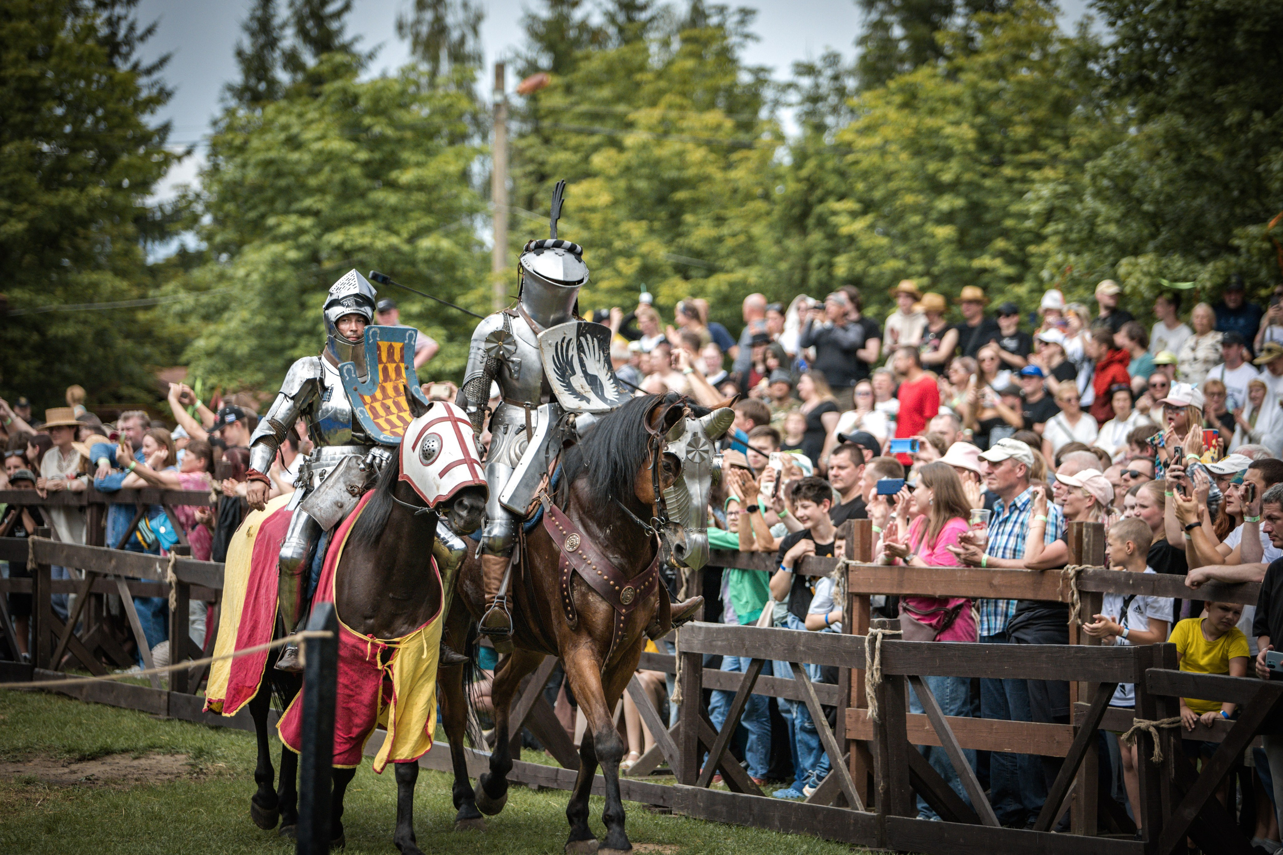 Наш Грюнвальд 2025. Рыцарский турнир. Профессиональный интерьерный и репортажный фотограф Минск и РБ. Максим Орлов