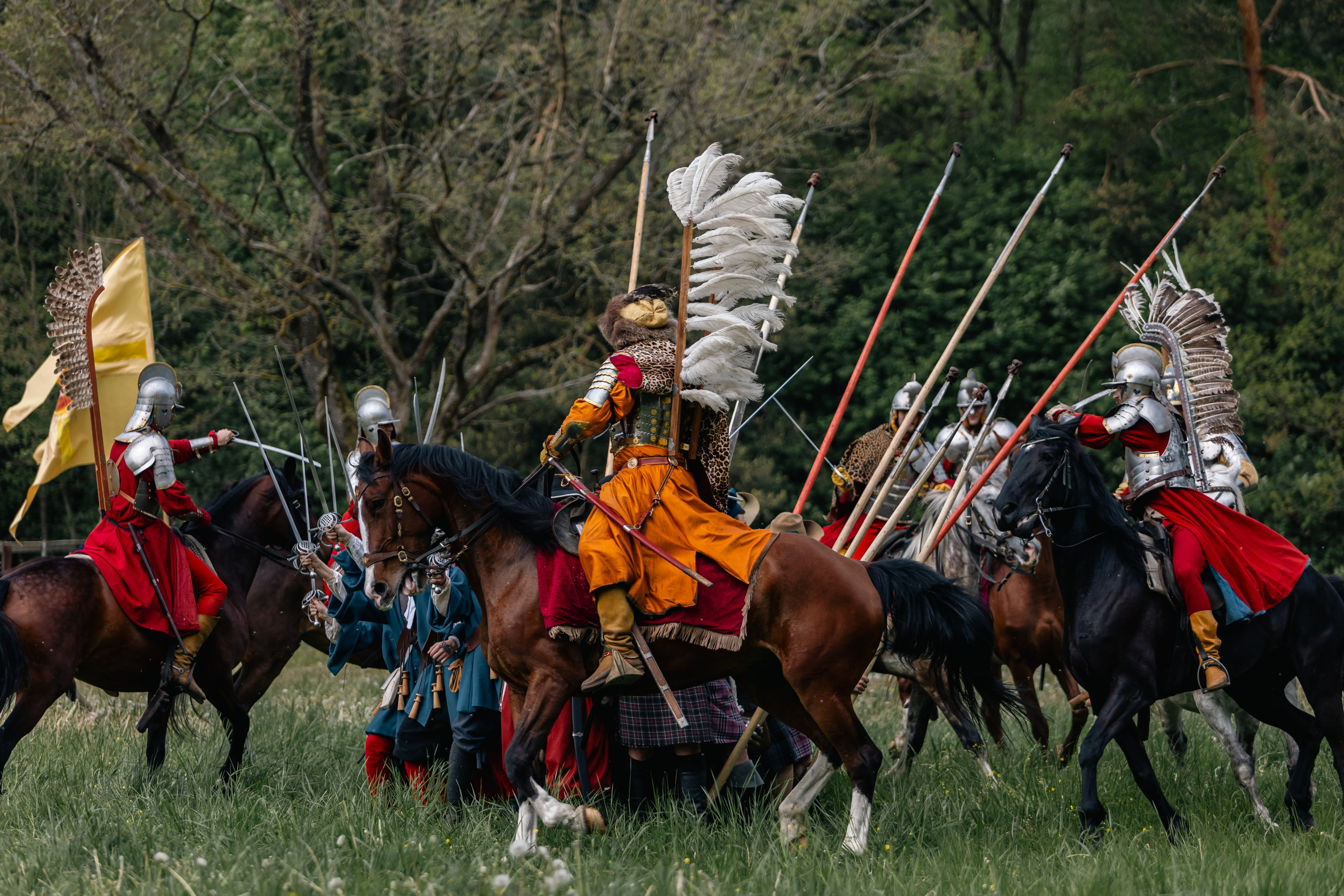Золотая шпора. Маневры 17 века. Профессиональный интерьерный и репортажный фотограф Минск и РБ. Максим Орлов