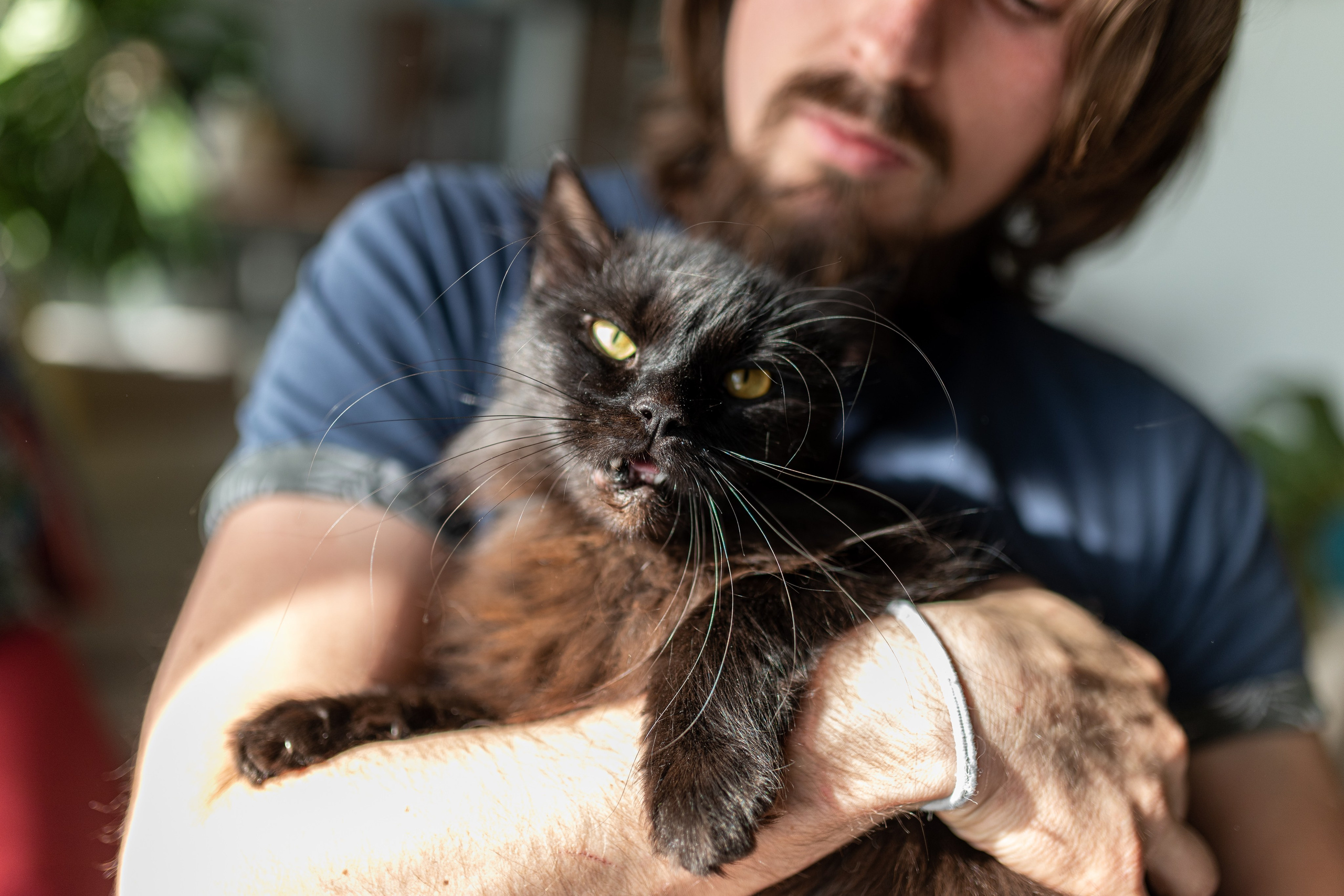 Котики для Old Cat. Профессиональный интерьерный и репортажный фотограф Минск и РБ. Максим Орлов