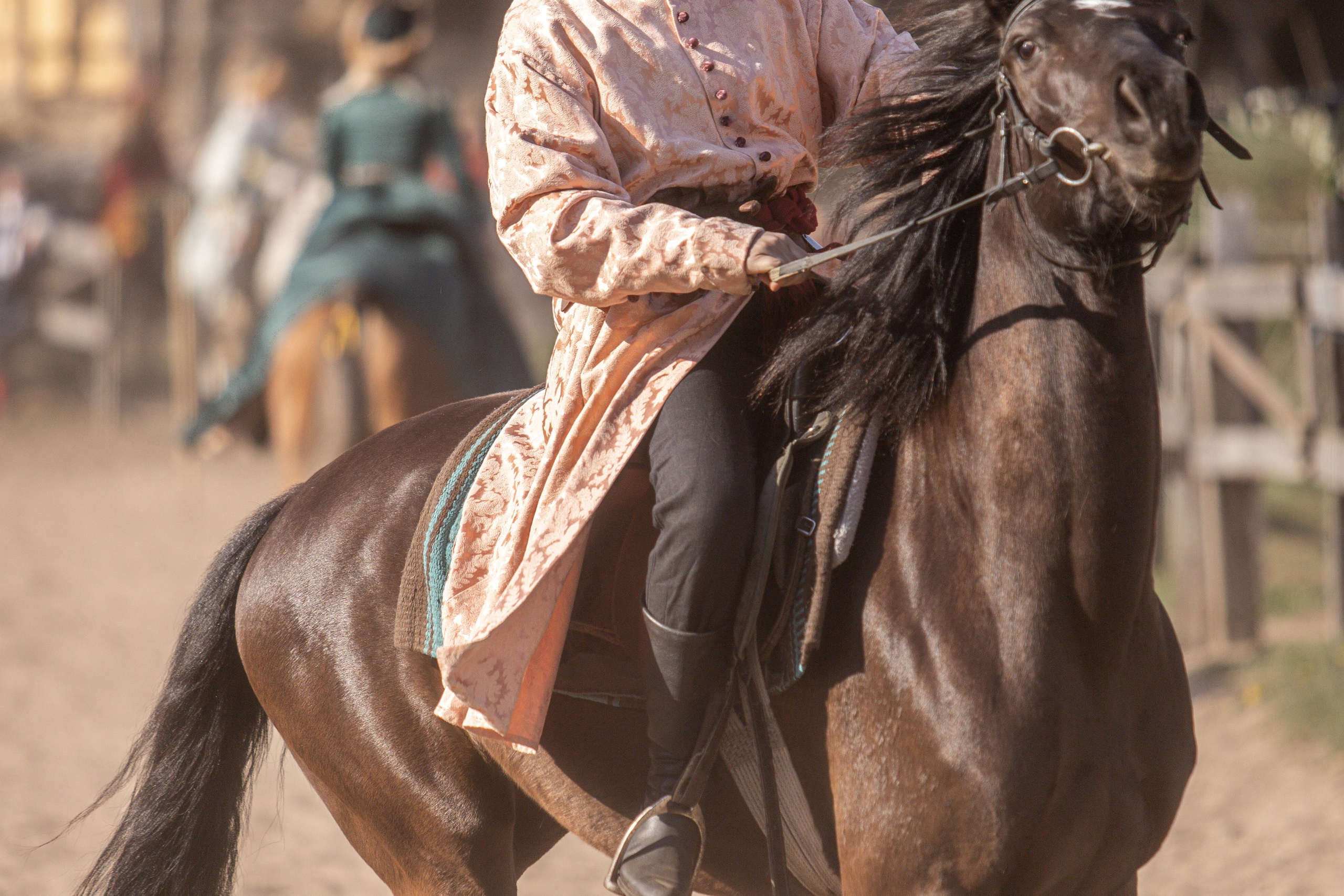 Золотая Шпора. Огнем и Мечем. День первый. Рыцарский турнир. Профессиональный интерьерный и репортажный фотограф Минск и РБ. Максим Орлов