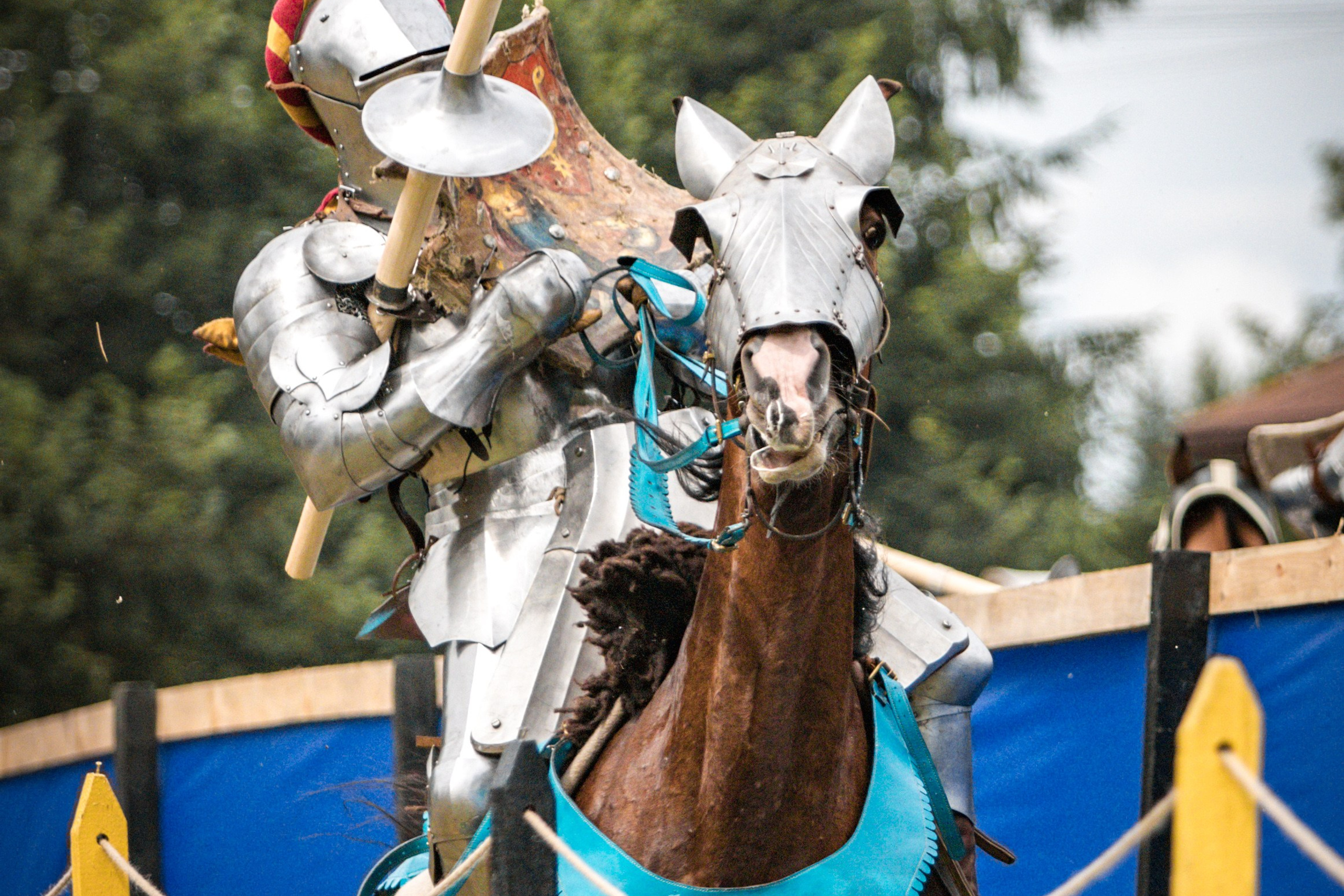 Наш Грюнвальд 2025. Рыцарский турнир. Профессиональный интерьерный и репортажный фотограф Минск и РБ. Максим Орлов