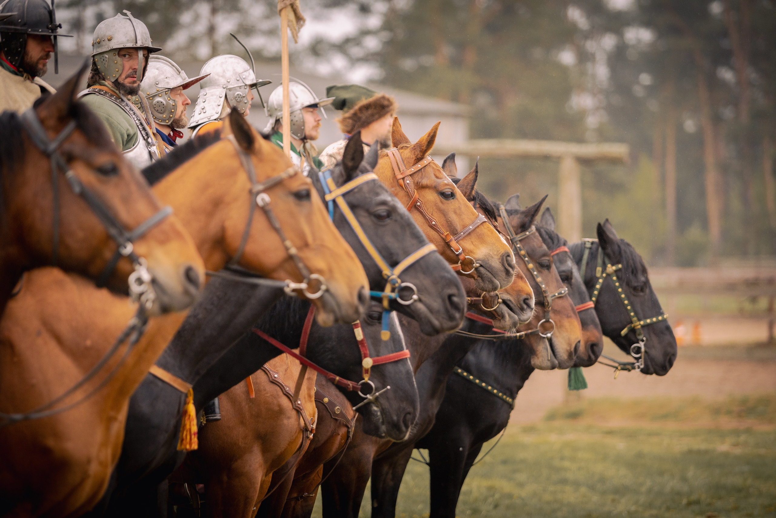 Золотая шпора. Огнем и мечем. День третий. Бой на поле. Профессиональный интерьерный и репортажный фотограф Минск и РБ. Максим Орлов