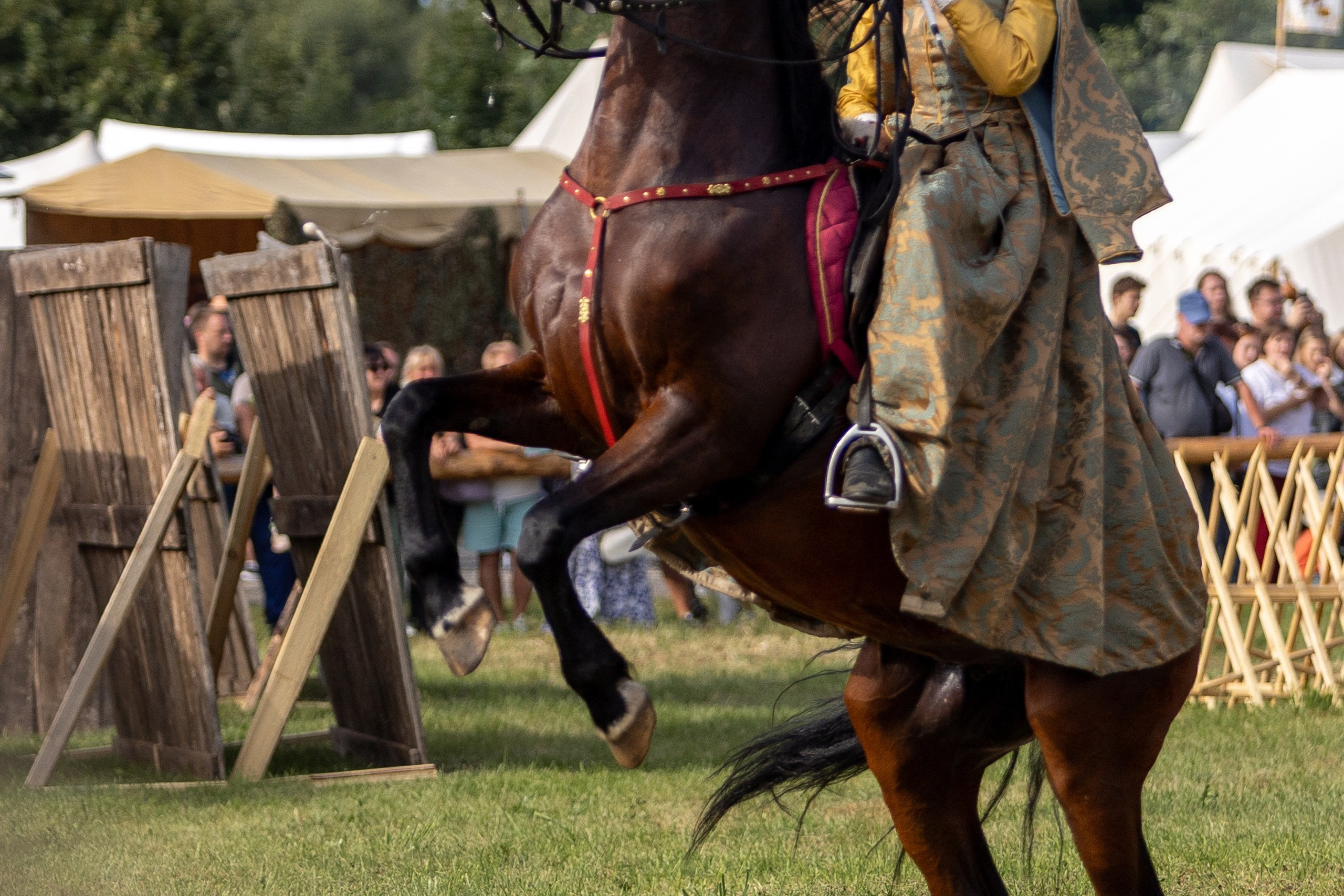 Рыцарский фест. Мстиславль. Профессиональный интерьерный и репортажный фотограф Минск и РБ. Максим Орлов