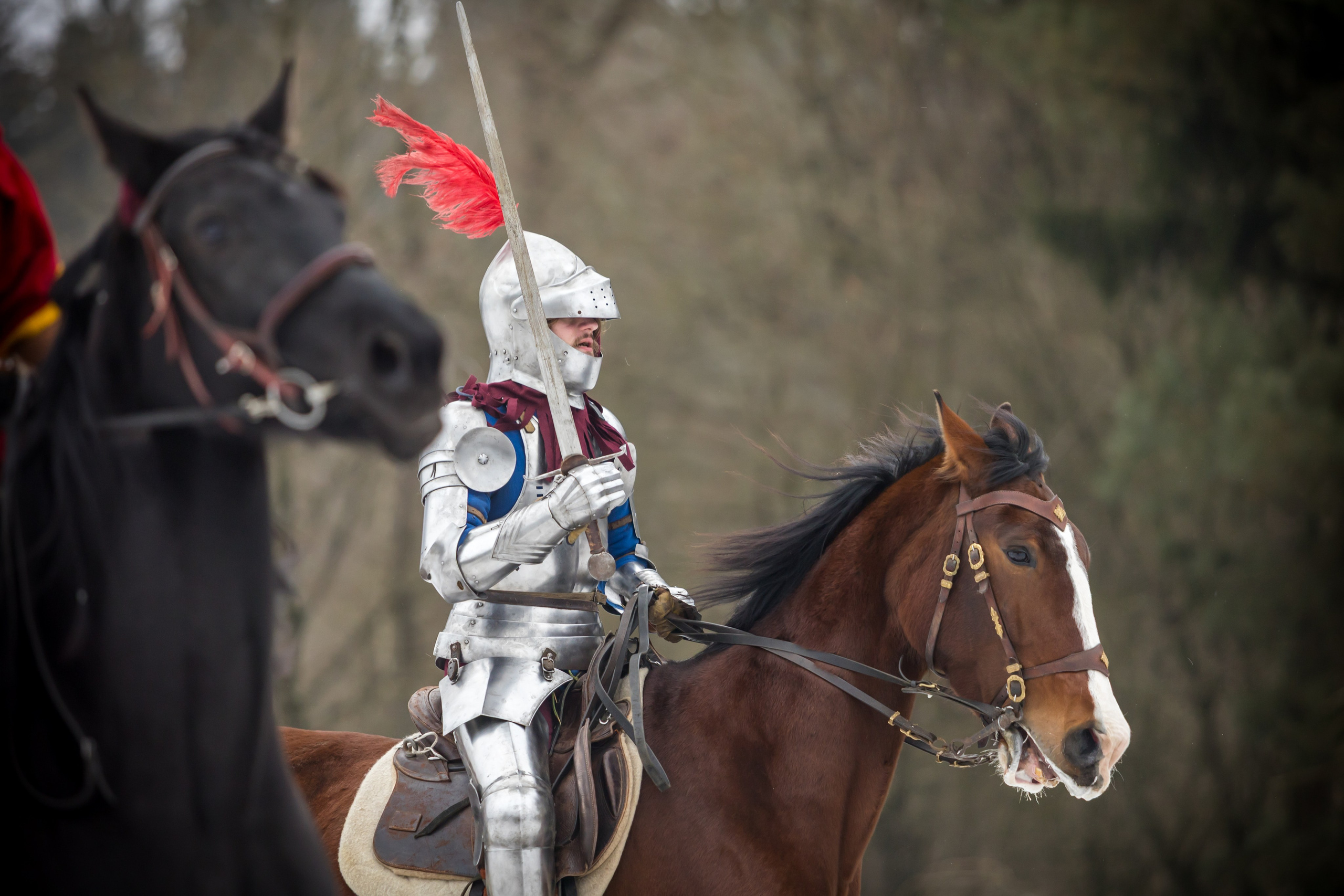 Зимние маневры «Золотой шпоры». 2025. Профессиональный интерьерный и репортажный фотограф Минск и РБ. Максим Орлов
