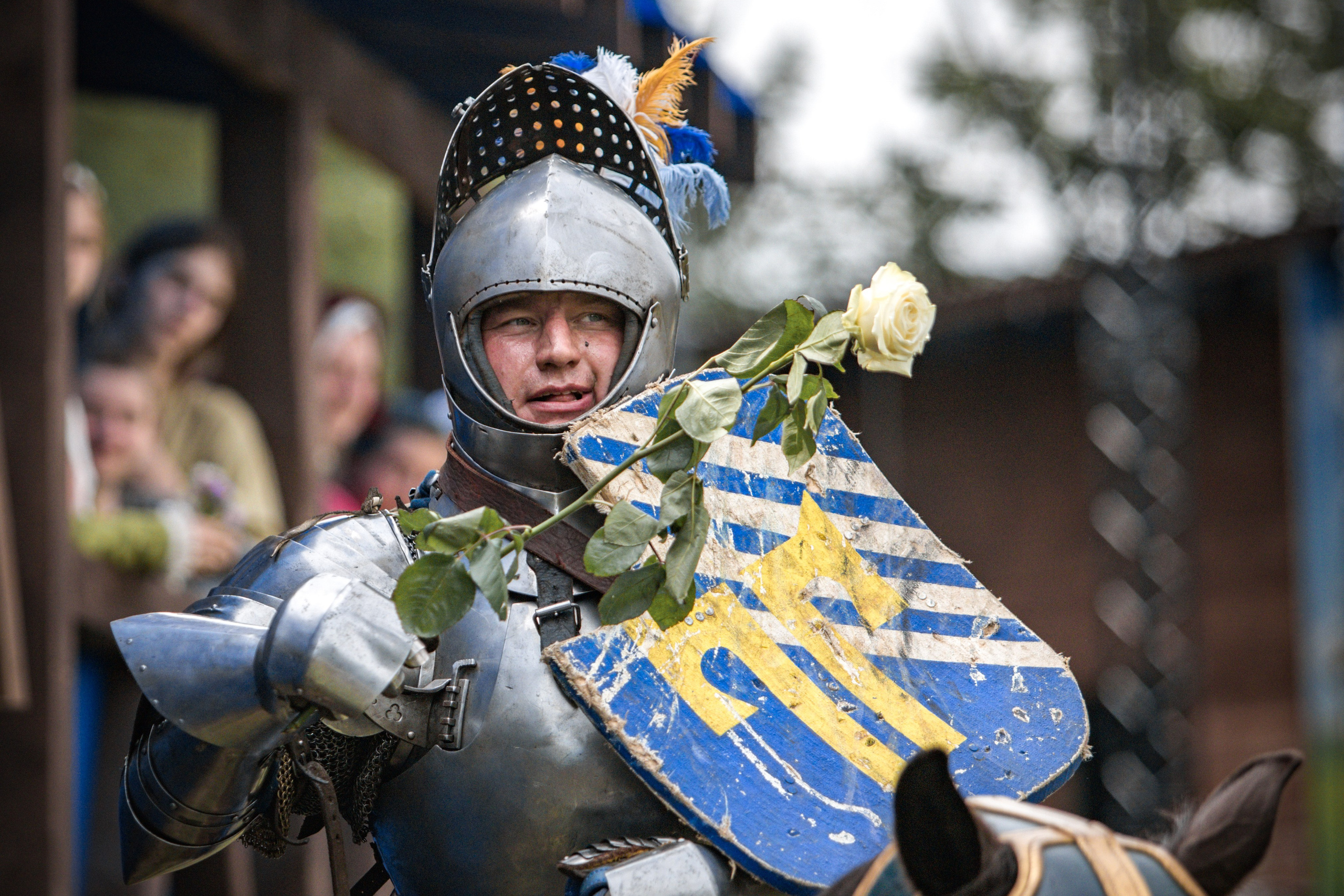 Наш Грюнвальд 2025. Рыцарский турнир. Профессиональный интерьерный и репортажный фотограф Минск и РБ. Максим Орлов