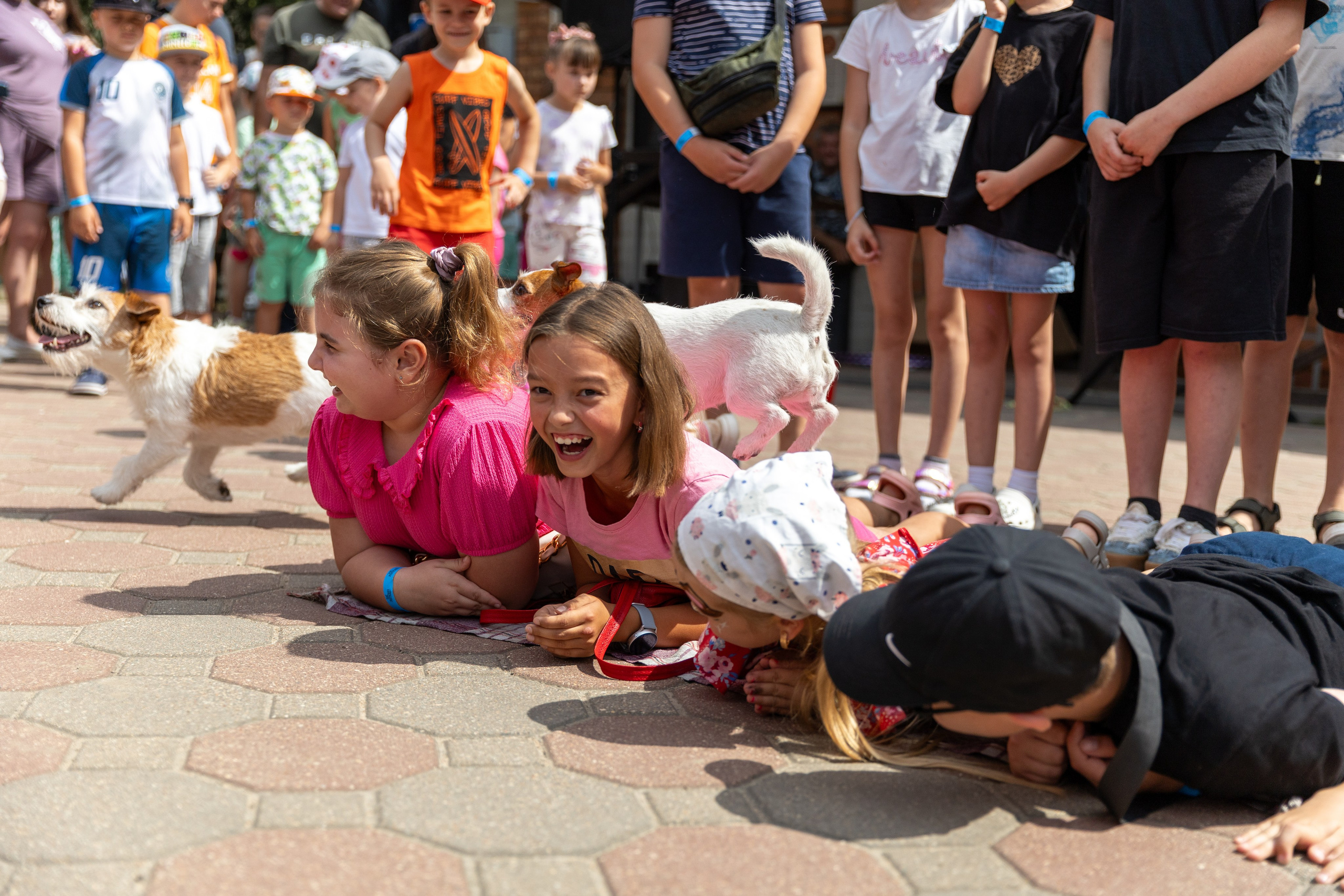 Детифест. Профессиональный интерьерный и репортажный фотограф Минск и РБ. Максим Орлов