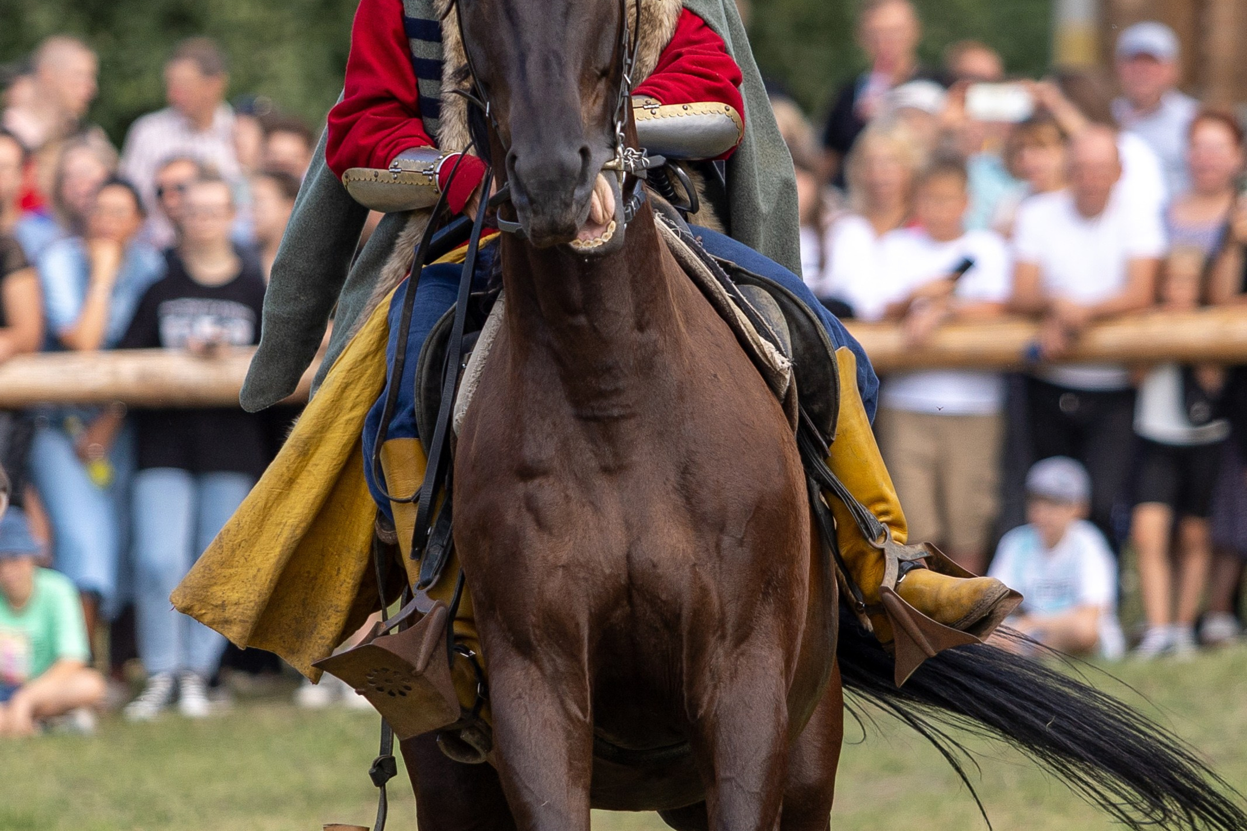 Рыцарский фест. Мстиславль. Профессиональный интерьерный и репортажный фотограф Минск и РБ. Максим Орлов
