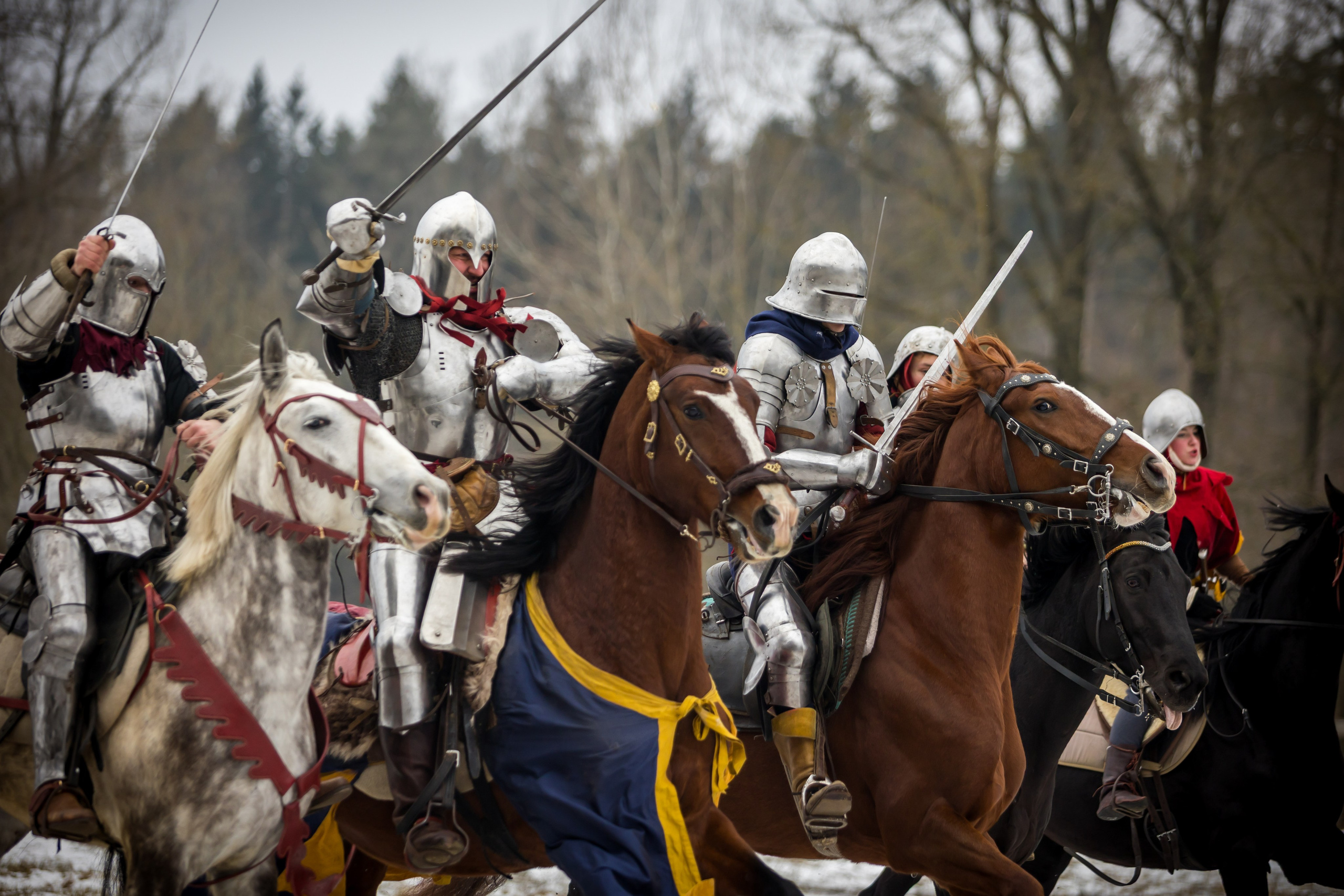 Зимние маневры «Золотой шпоры». 2025. Профессиональный интерьерный и репортажный фотограф Минск и РБ. Максим Орлов