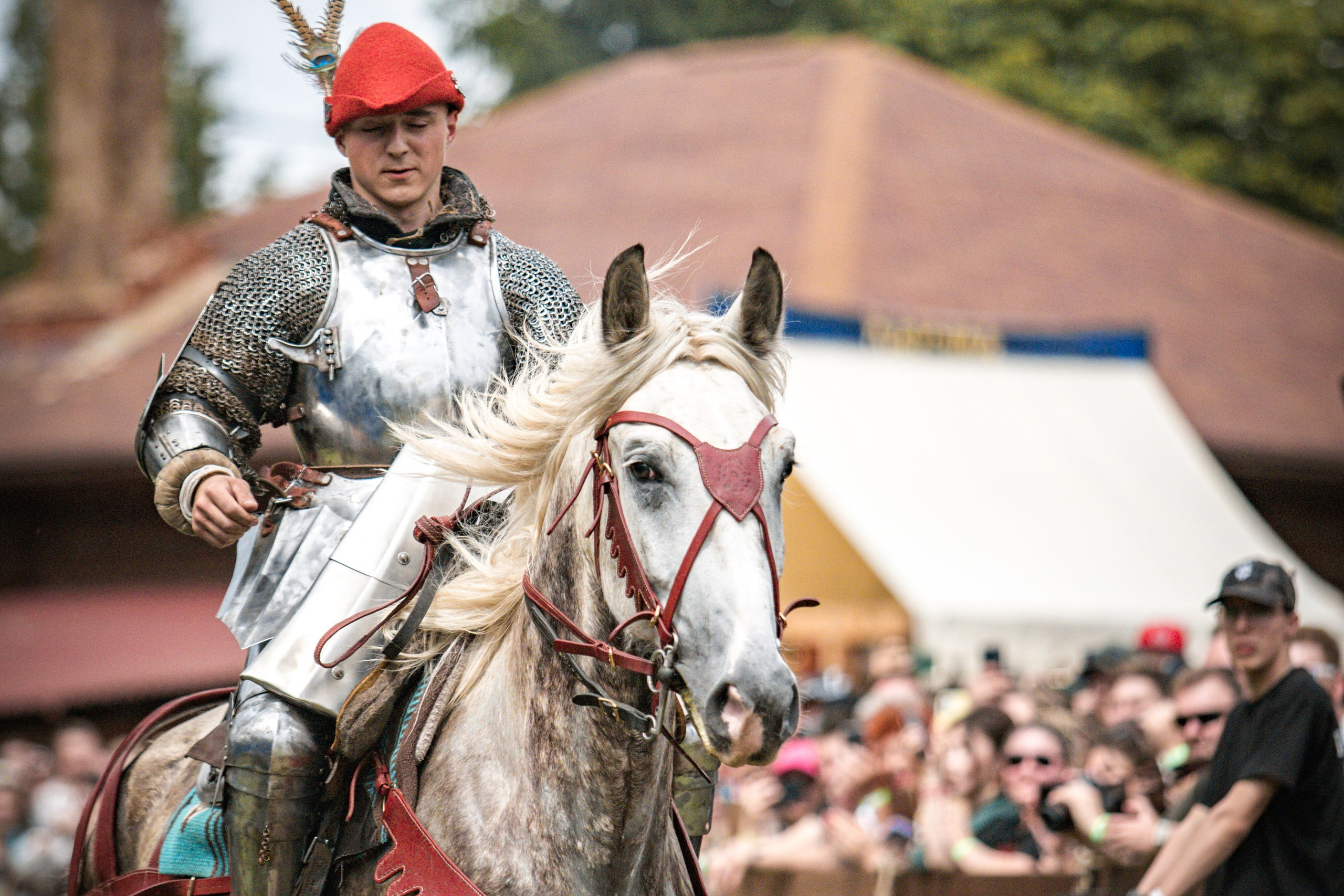 Наш Грюнвальд 2025. Рыцарский турнир. Профессиональный интерьерный и репортажный фотограф Минск и РБ. Максим Орлов