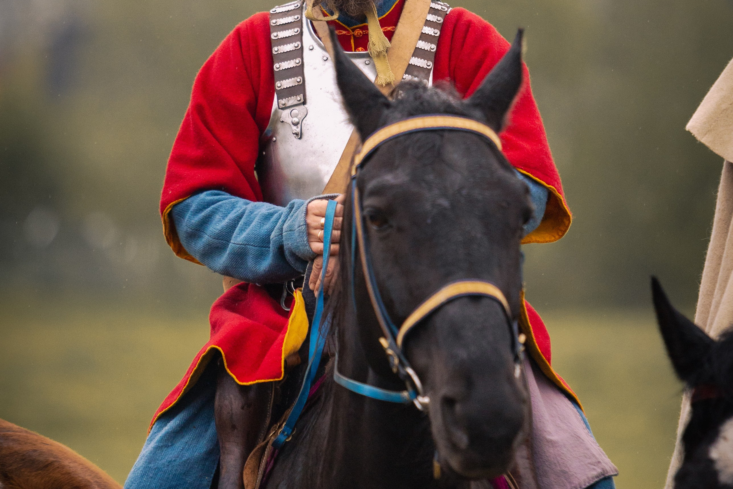 Золотая шпора. Огнем и мечем. День третий. Бой на поле. Профессиональный интерьерный и репортажный фотограф Минск и РБ. Максим Орлов
