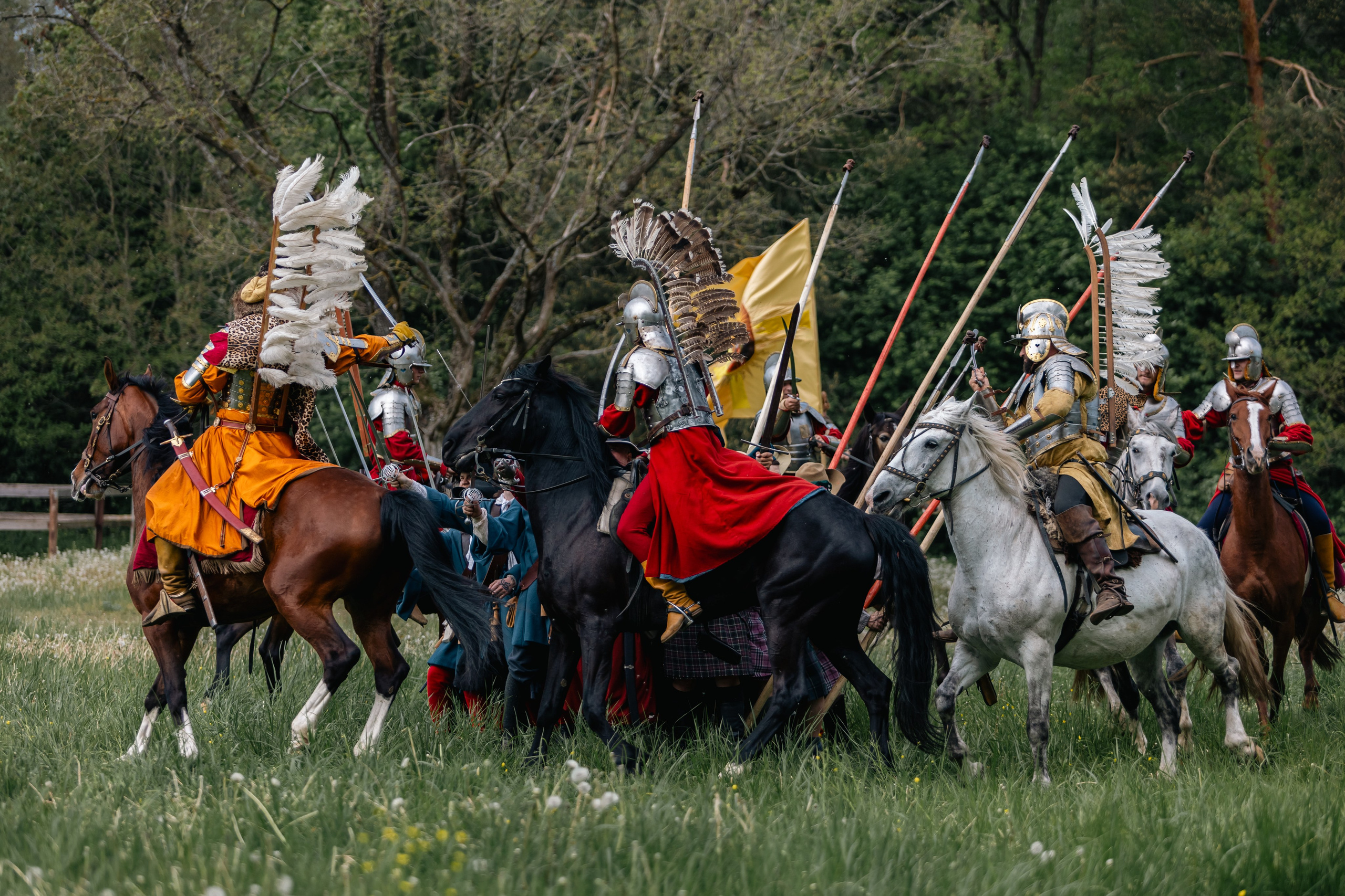 Золотая шпора. Маневры 17 века. Профессиональный интерьерный и репортажный фотограф Минск и РБ. Максим Орлов