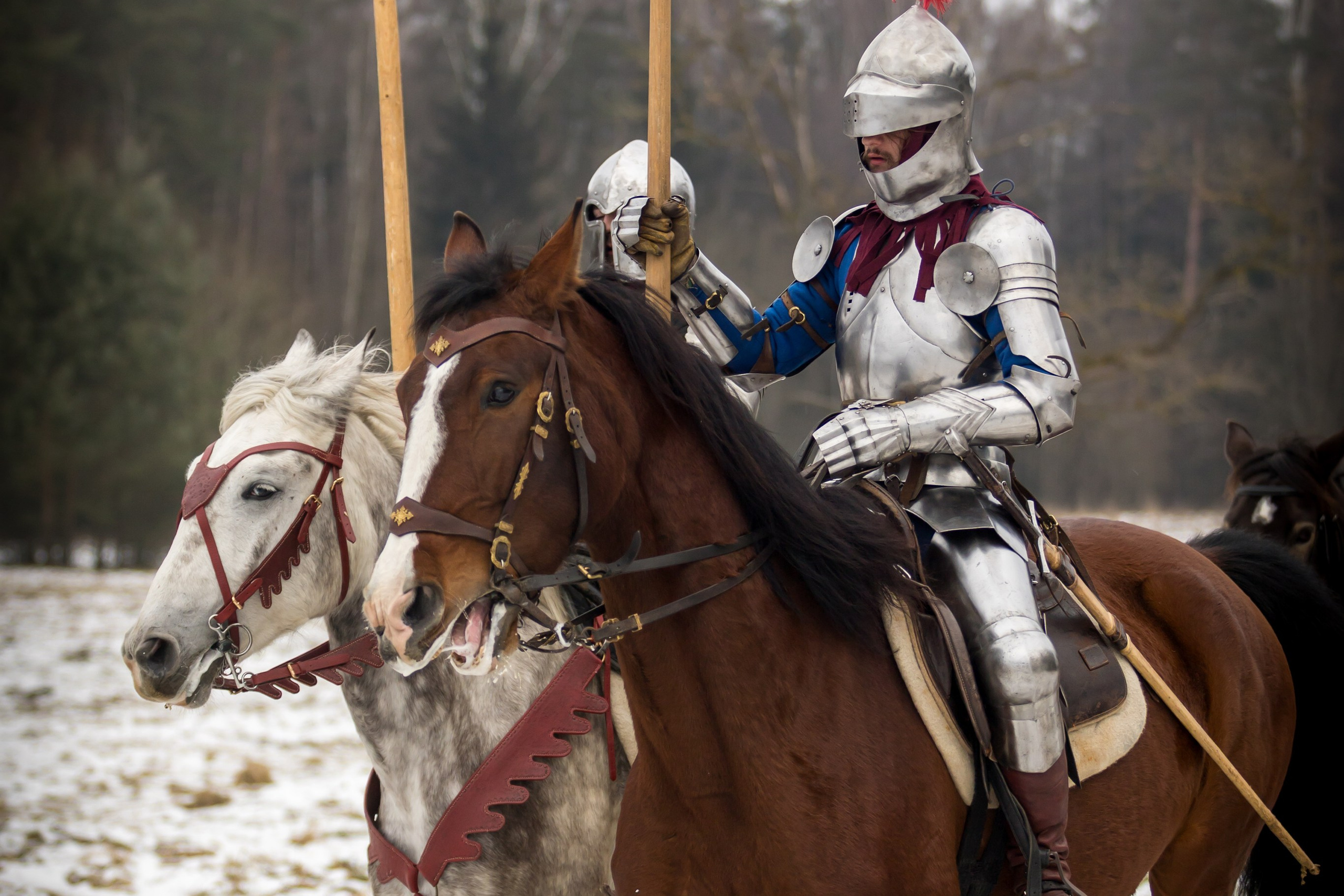 Зимние маневры «Золотой шпоры». 2025. Профессиональный интерьерный и репортажный фотограф Минск и РБ. Максим Орлов