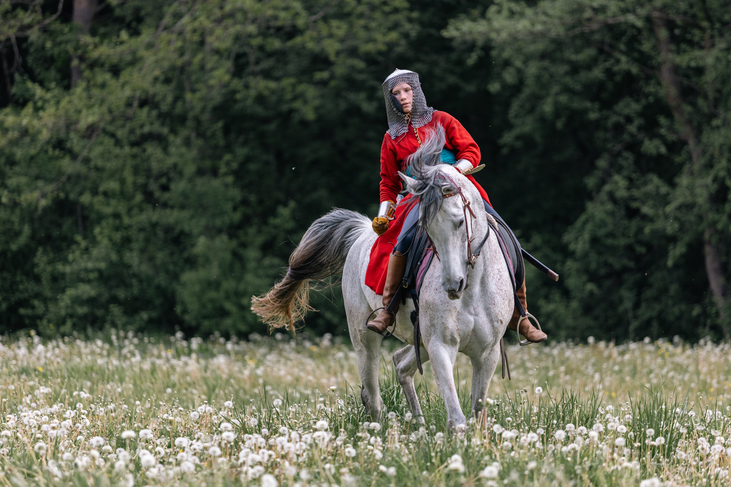 Золотая шпора. Маневры 17 века. Профессиональный интерьерный и репортажный фотограф Минск и РБ. Максим Орлов