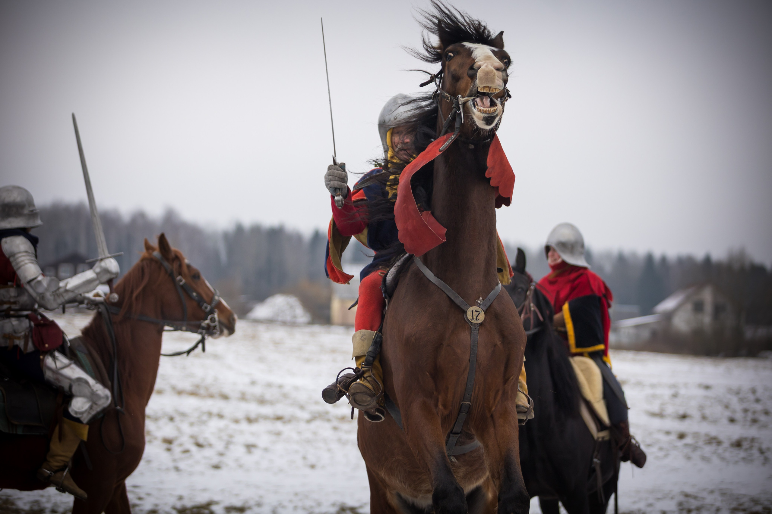 Зимние маневры «Золотой шпоры». 2025. Профессиональный интерьерный и репортажный фотограф Минск и РБ. Максим Орлов