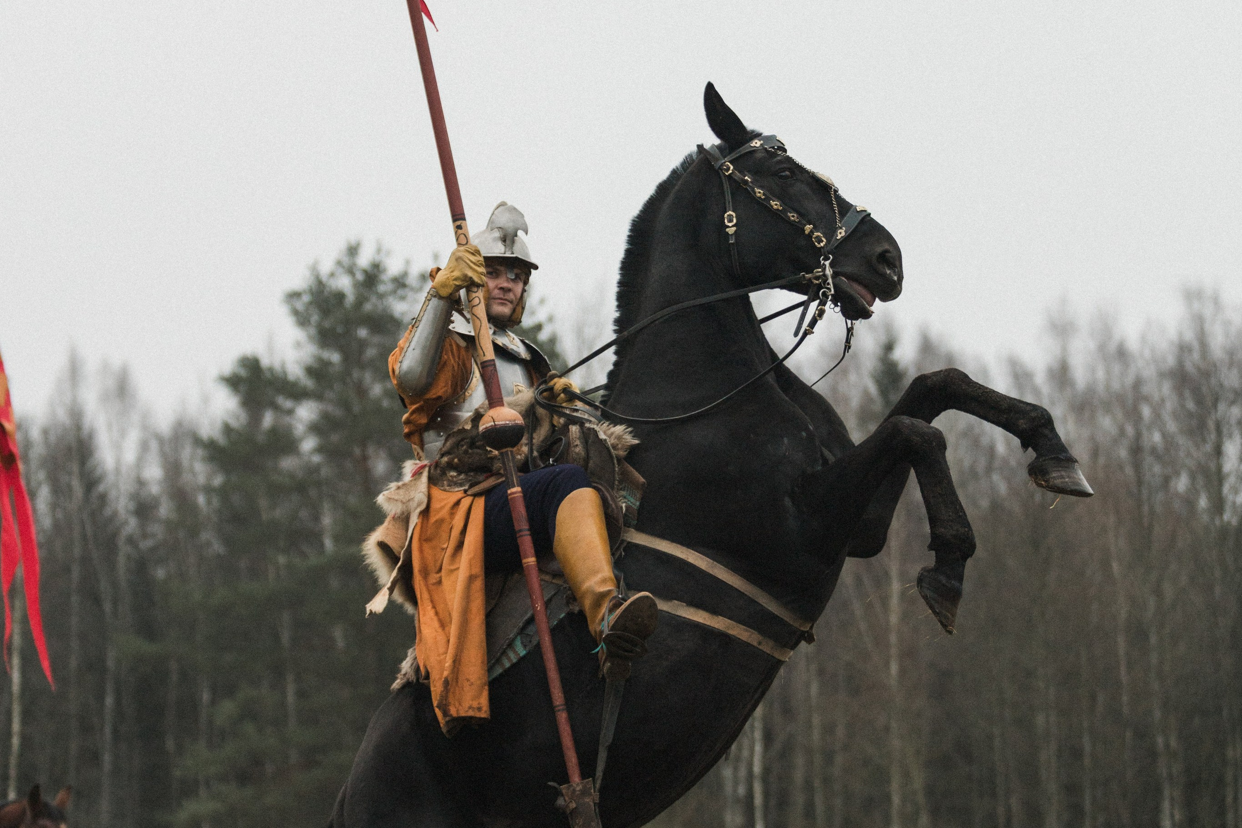 Маневры 17 века. Золотая шпора. Профессиональный интерьерный и репортажный фотограф Минск и РБ. Максим Орлов