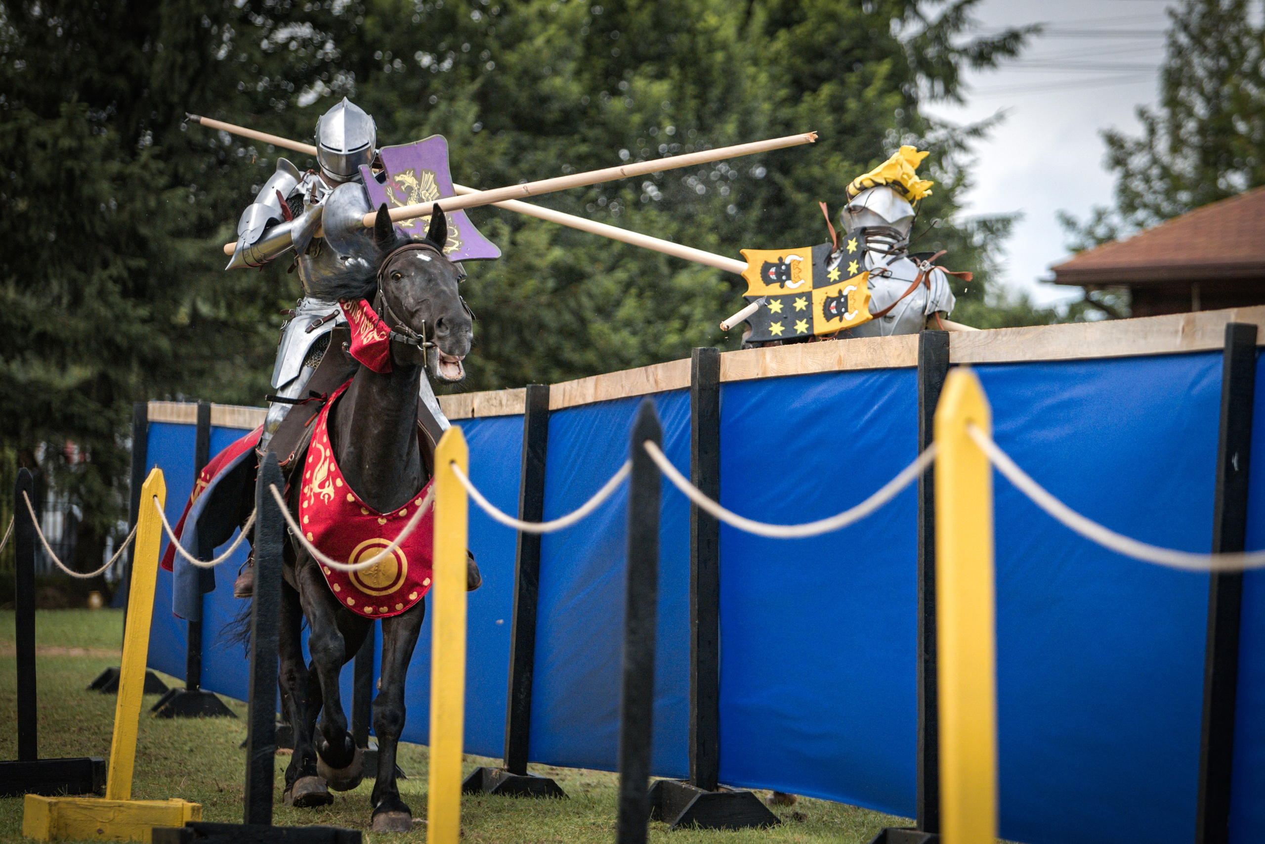 Наш Грюнвальд 2025. Рыцарский турнир. Профессиональный интерьерный и репортажный фотограф Минск и РБ. Максим Орлов