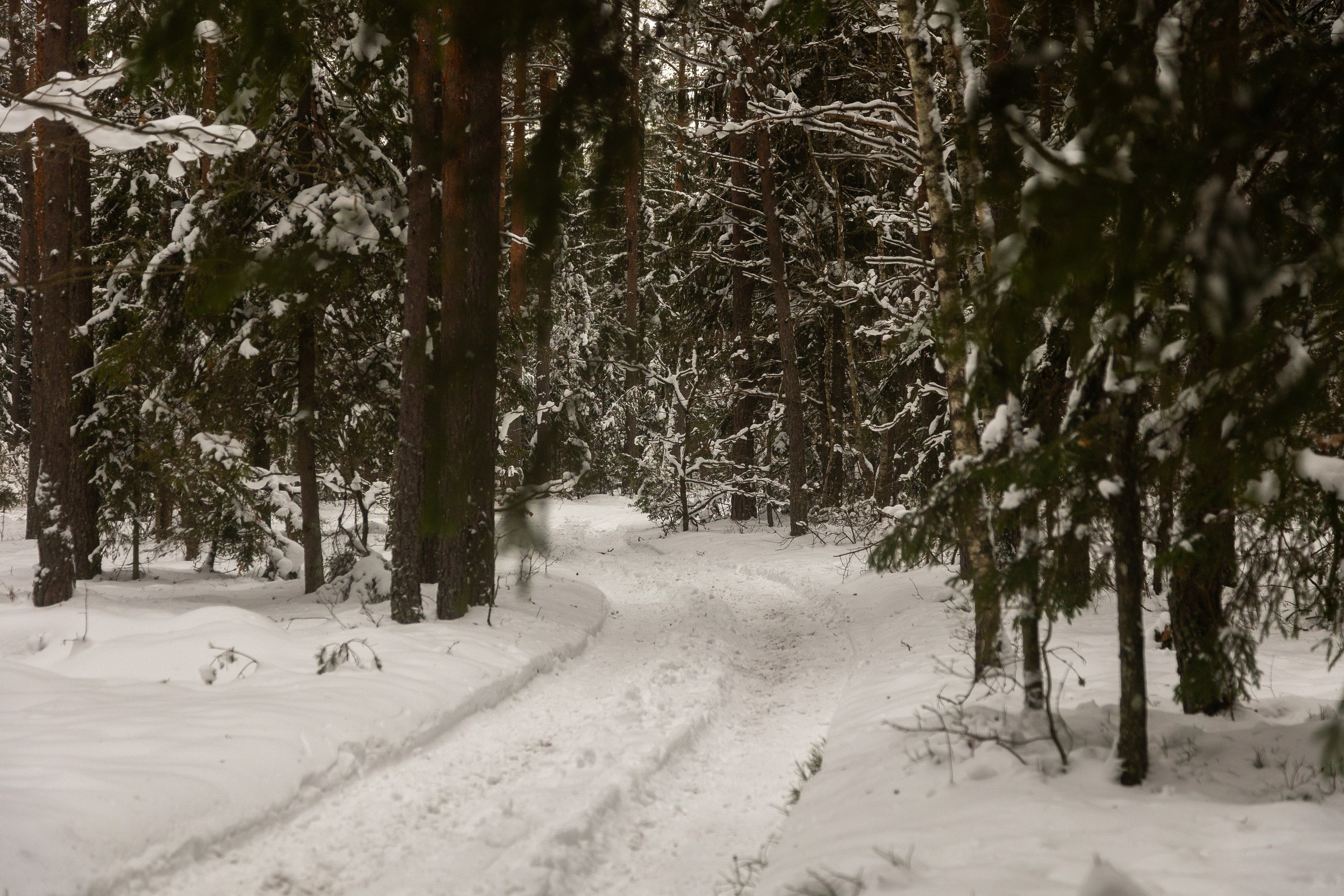 Зимние рыцарские маневры. Профессиональный интерьерный и репортажный фотограф Минск и РБ. Максим Орлов
