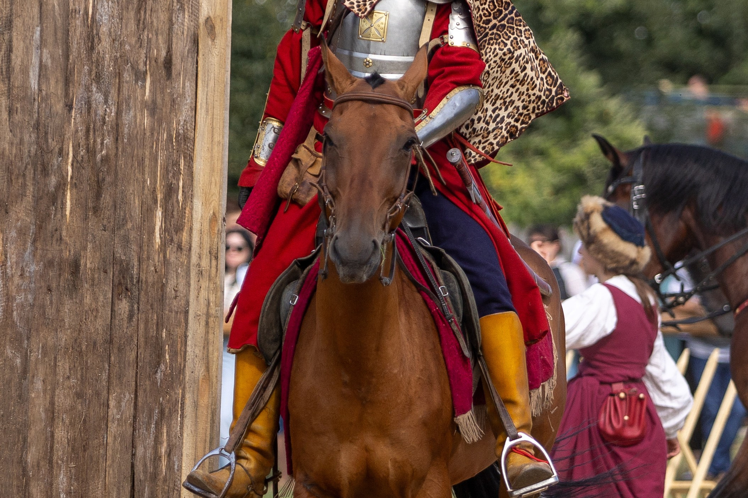 Рыцарский фест. Мстиславль. Профессиональный интерьерный и репортажный фотограф Минск и РБ. Максим Орлов