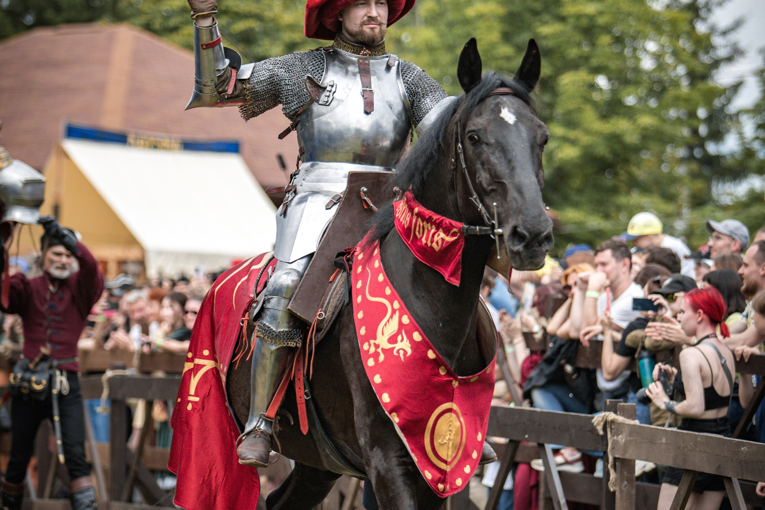 Наш Грюнвальд 2025. Рыцарский турнир. Профессиональный интерьерный и репортажный фотограф Минск и РБ. Максим Орлов
