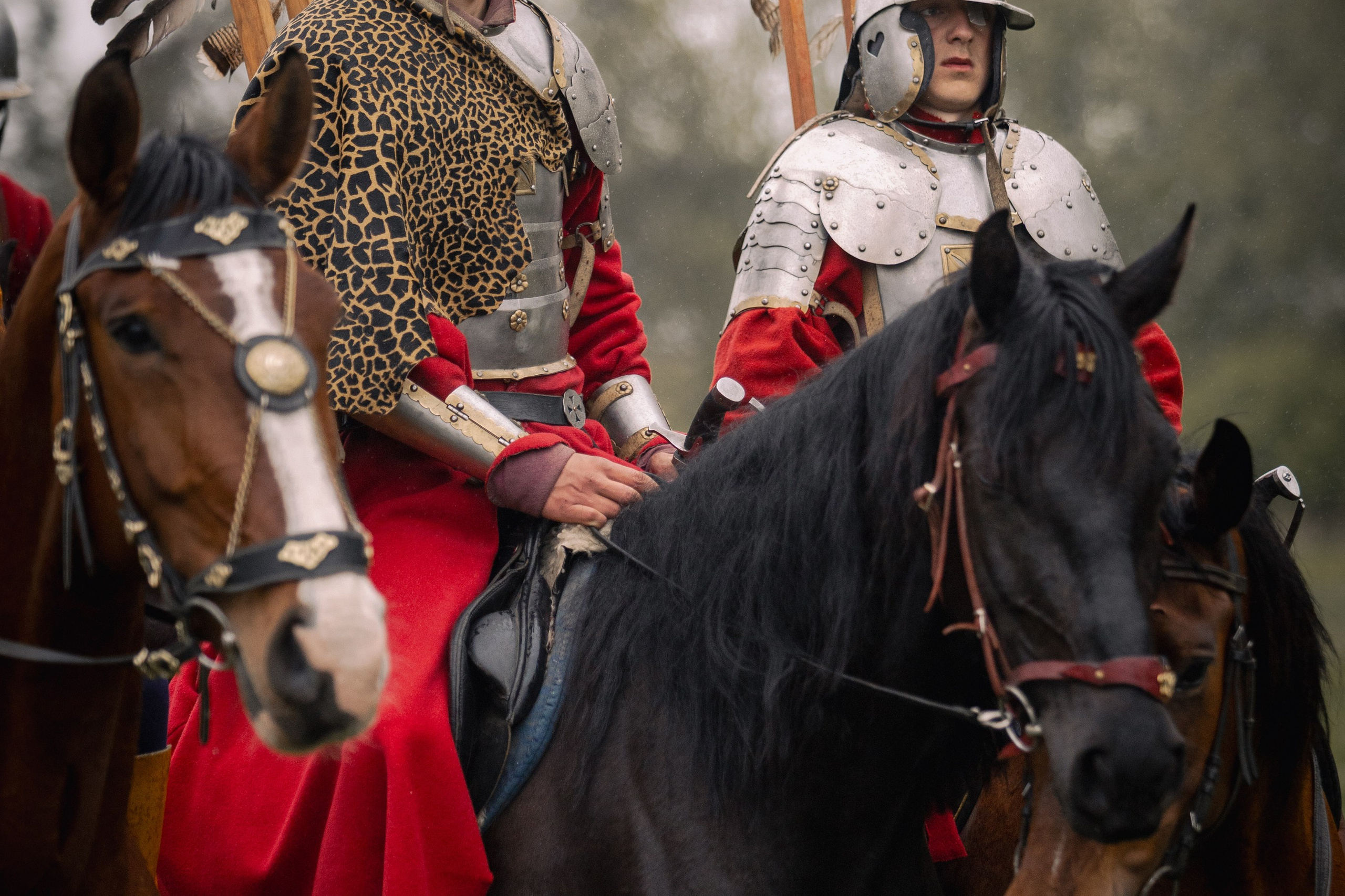 Золотая шпора. Огнем и мечем. День третий. Бой на поле. Профессиональный интерьерный и репортажный фотограф Минск и РБ. Максим Орлов