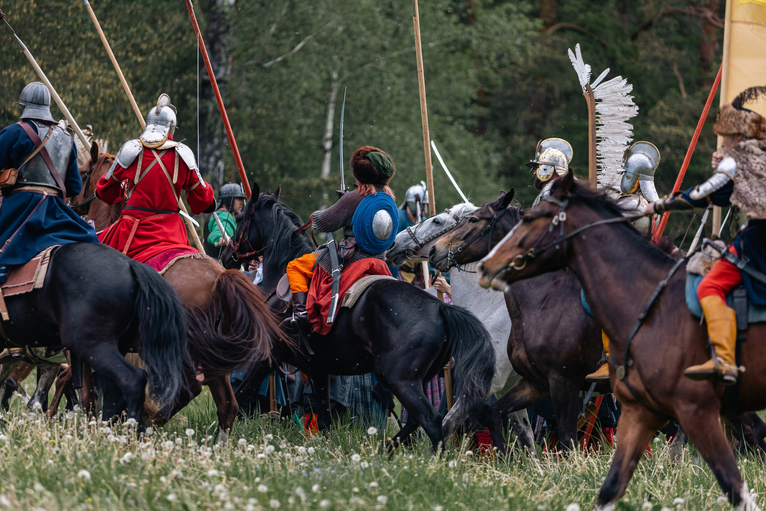 Золотая шпора. Маневры 17 века. Профессиональный интерьерный и репортажный фотограф Минск и РБ. Максим Орлов