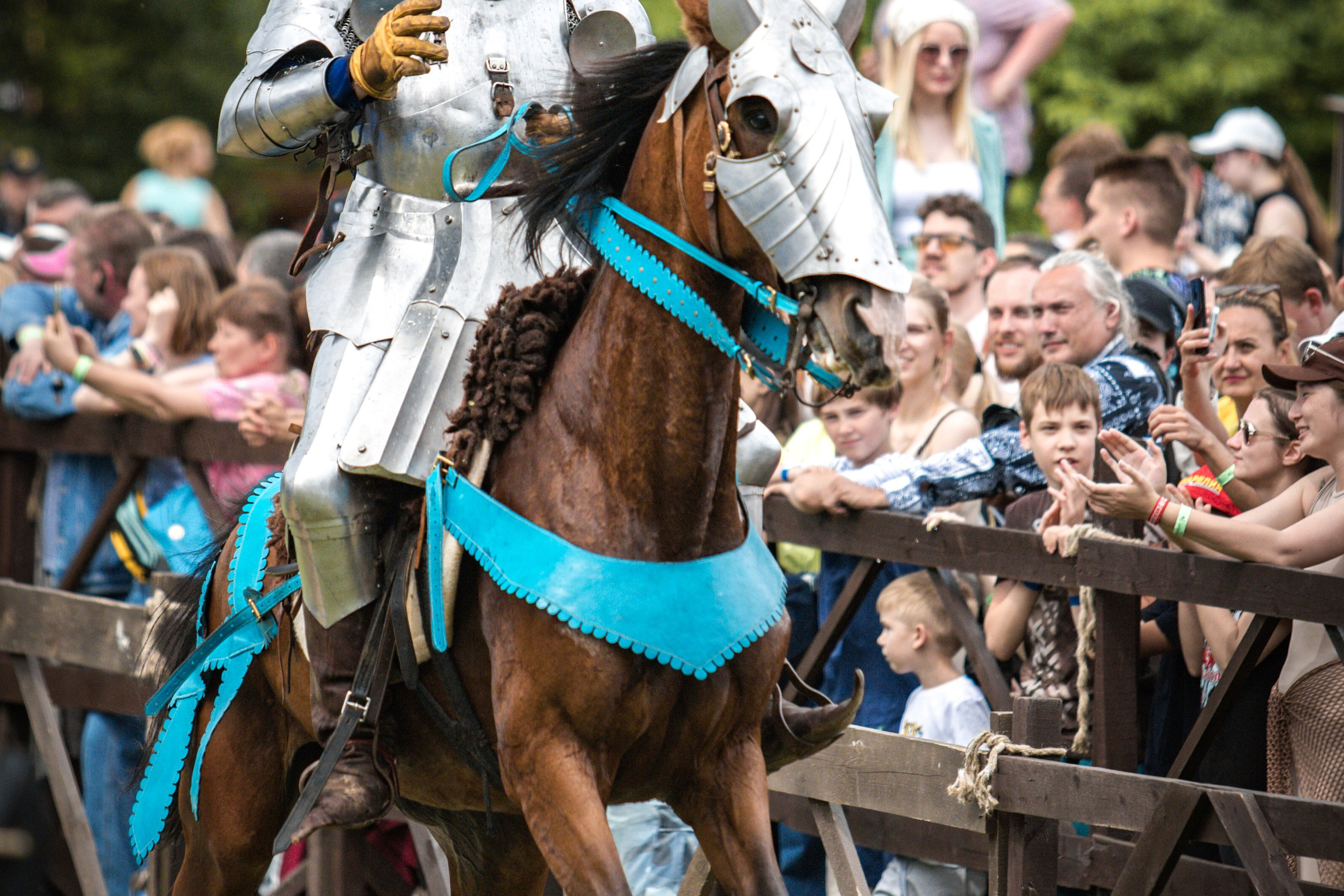 Наш Грюнвальд 2025. Рыцарский турнир. Профессиональный интерьерный и репортажный фотограф Минск и РБ. Максим Орлов