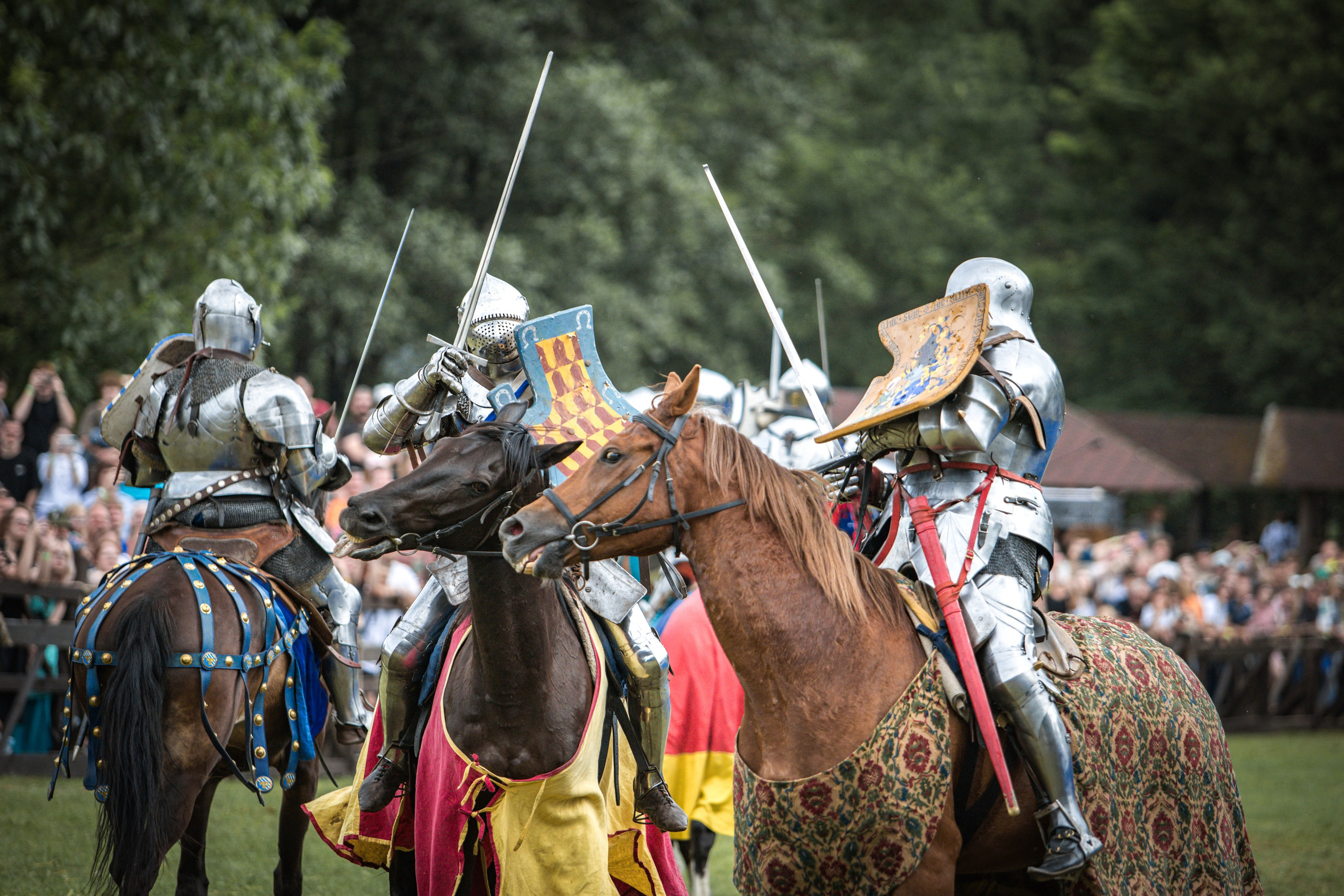 Наш Грюнвальд 2025. Рыцарский турнир. Профессиональный интерьерный и репортажный фотограф Минск и РБ. Максим Орлов