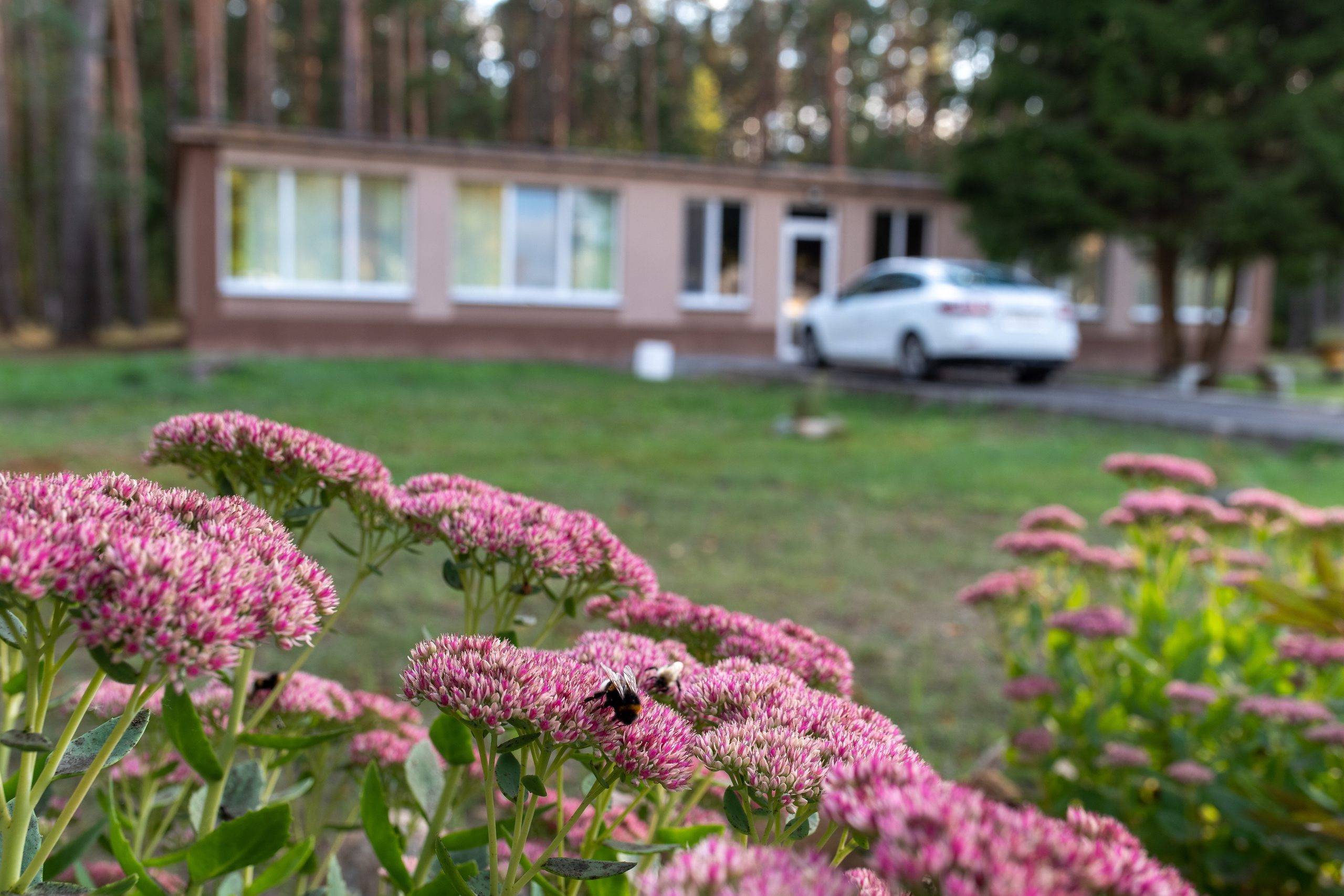 База отдыха «Бобр». Профессиональный интерьерный и репортажный фотограф Минск и РБ. Максим Орлов