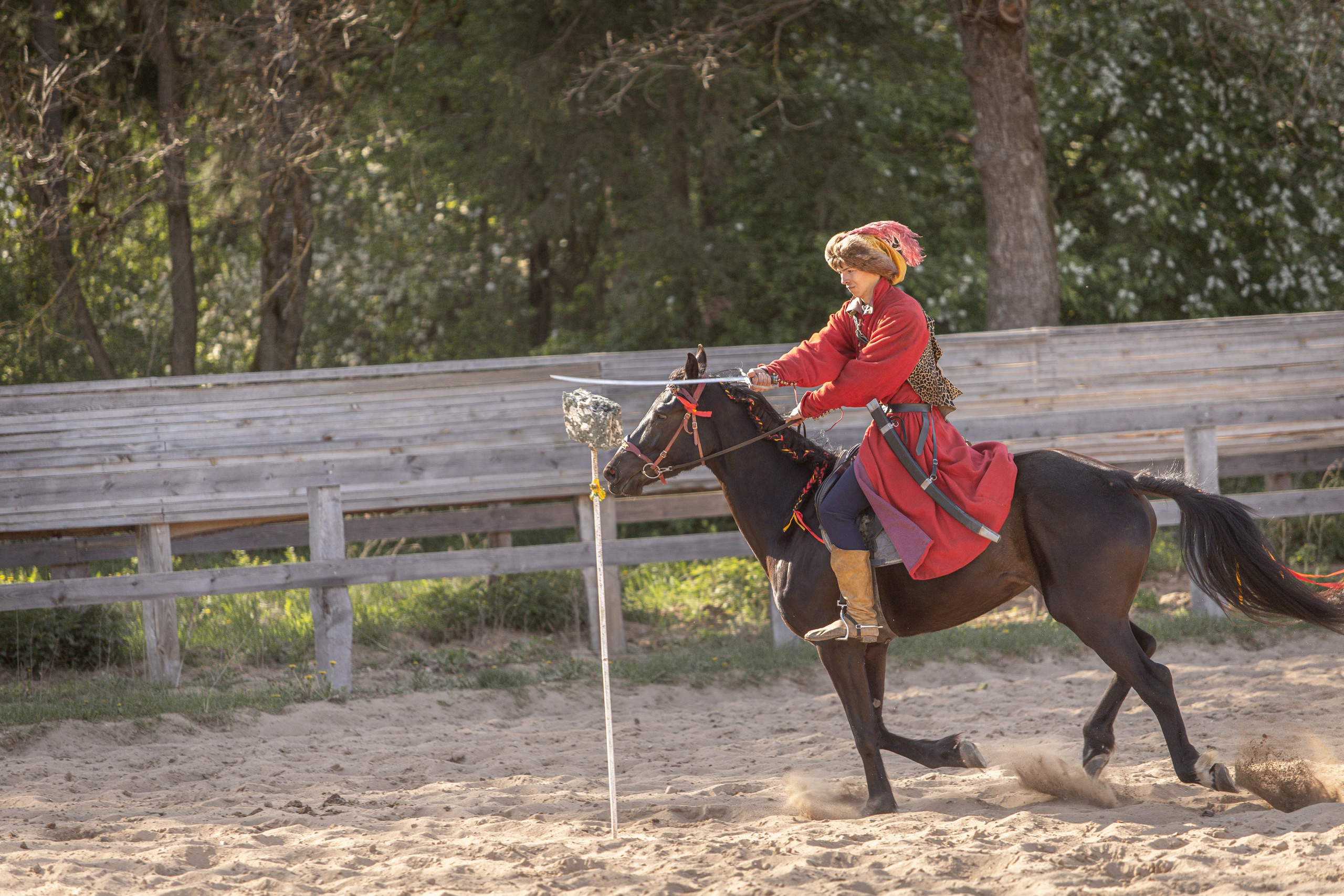 Золотая Шпора. Огнем и Мечем. День первый. Рыцарский турнир. Профессиональный интерьерный и репортажный фотограф Минск и РБ. Максим Орлов