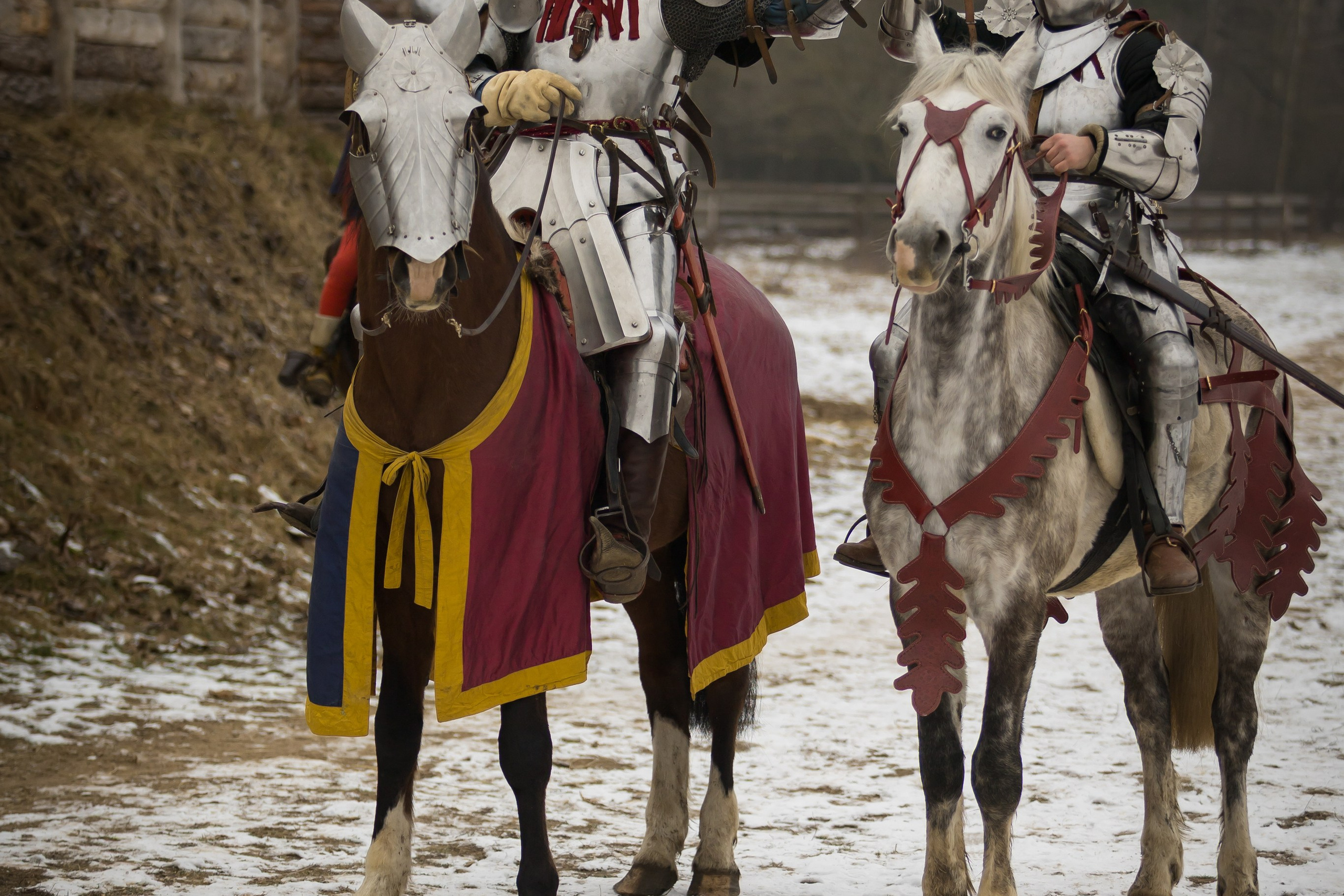 Зимние маневры «Золотой шпоры». 2025. Профессиональный интерьерный и репортажный фотограф Минск и РБ. Максим Орлов