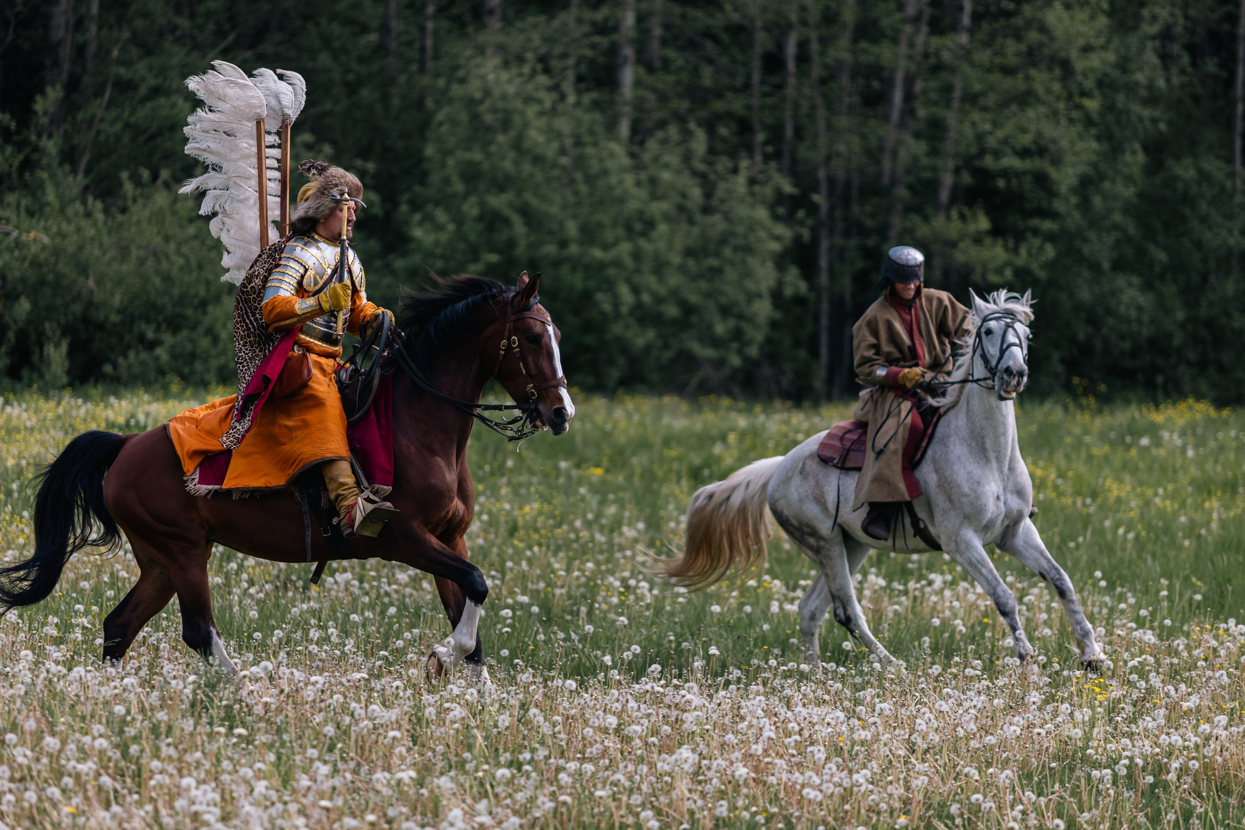 Золотая шпора. Маневры 17 века. Профессиональный интерьерный и репортажный фотограф Минск и РБ. Максим Орлов