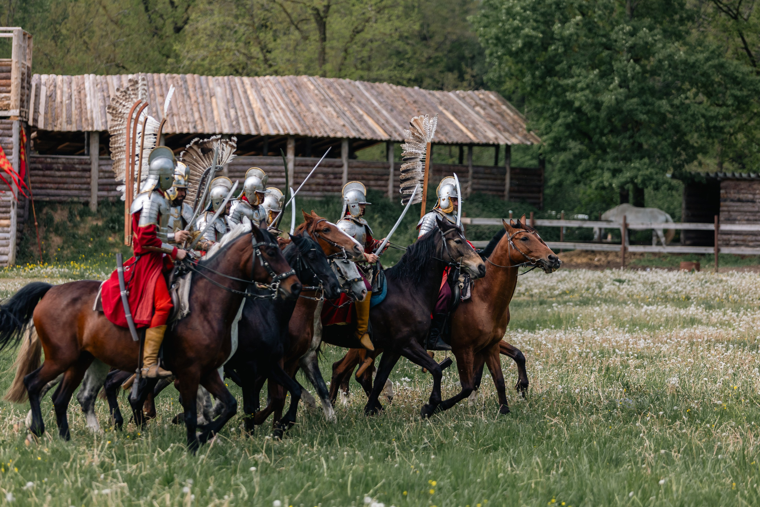 Золотая шпора. Маневры 17 века. Профессиональный интерьерный и репортажный фотограф Минск и РБ. Максим Орлов