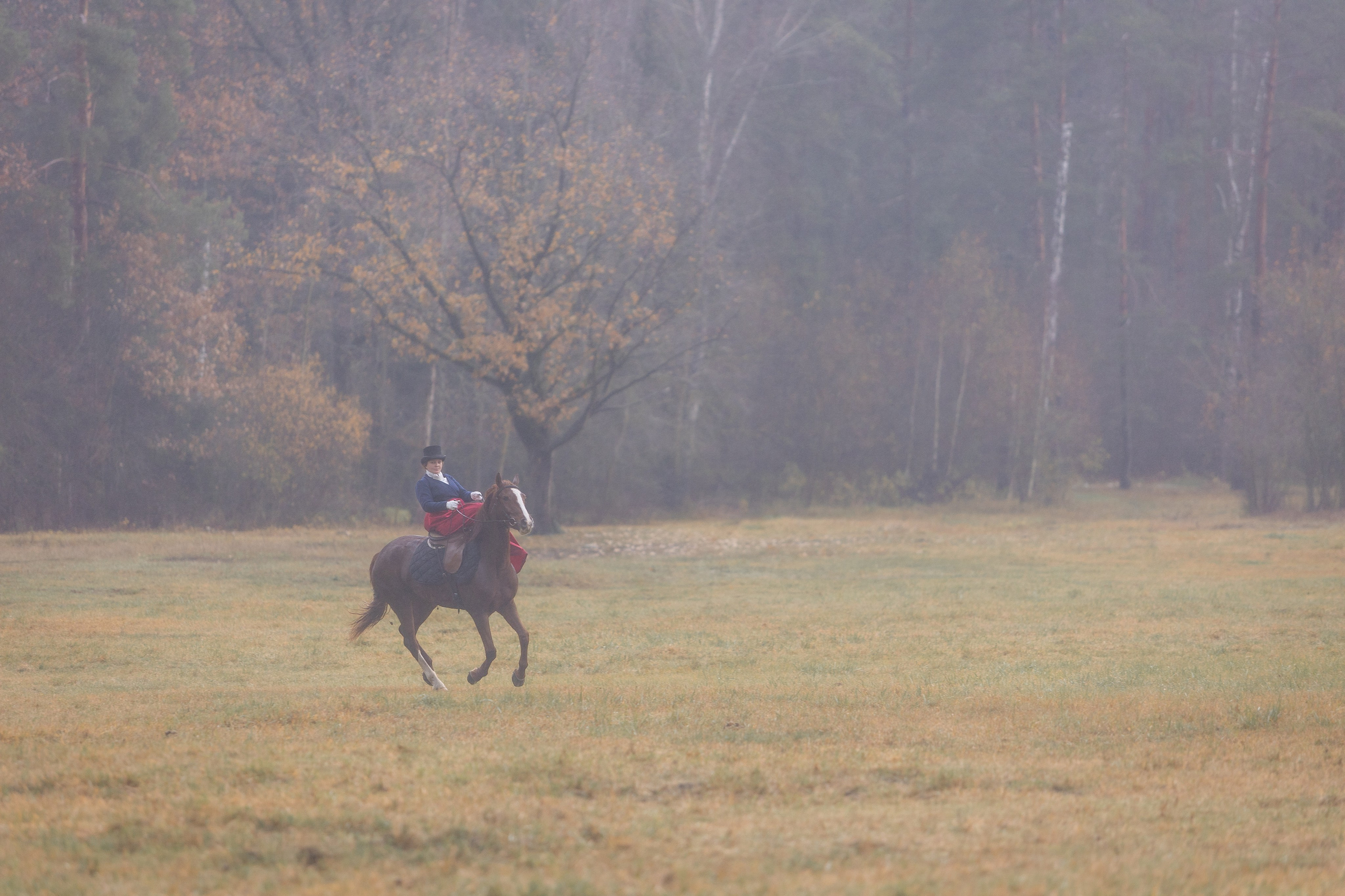 Ампирный выезд. Профессиональный интерьерный и репортажный фотограф Минск и РБ. Максим Орлов