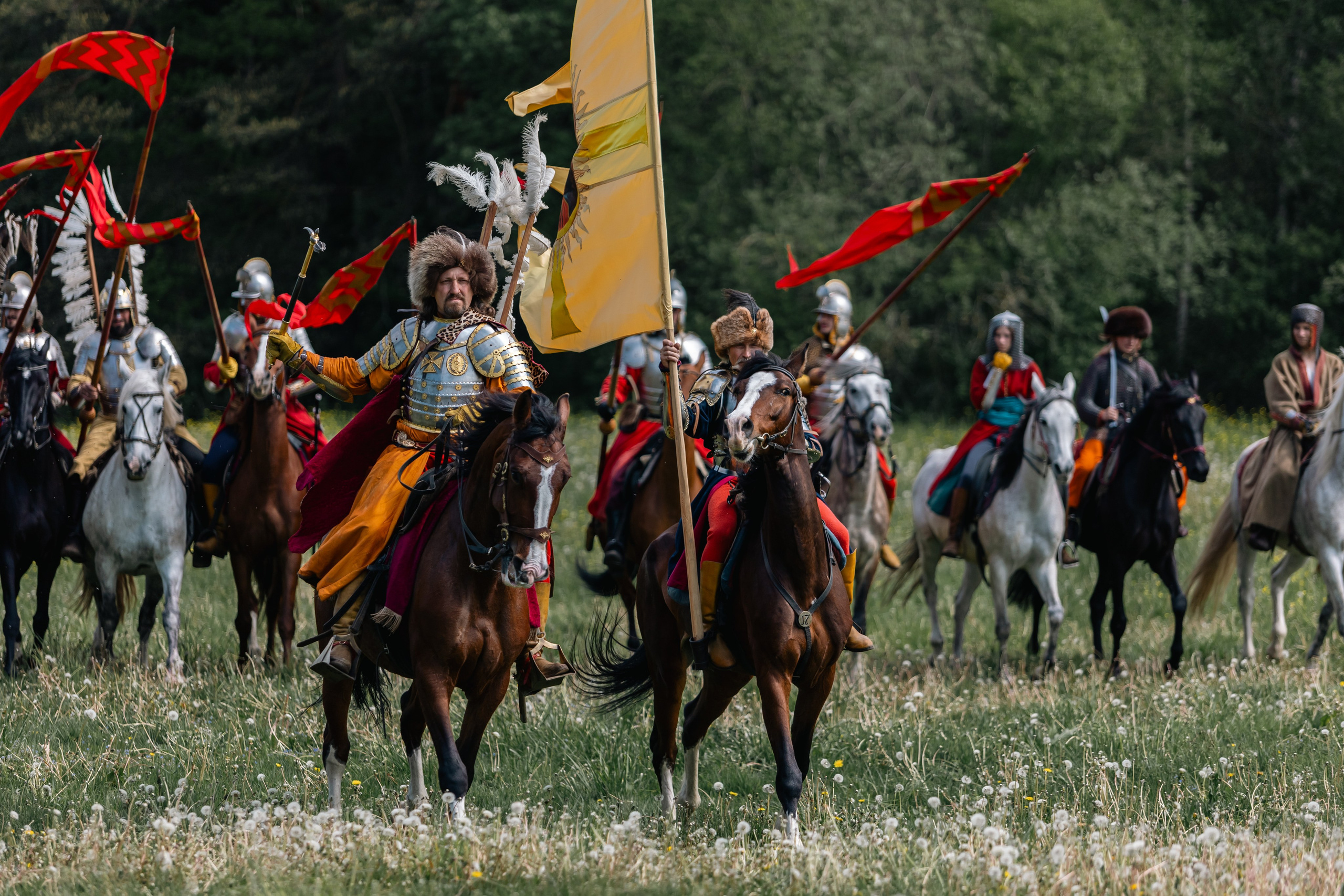 Золотая шпора. Маневры 17 века. Профессиональный интерьерный и репортажный фотограф Минск и РБ. Максим Орлов