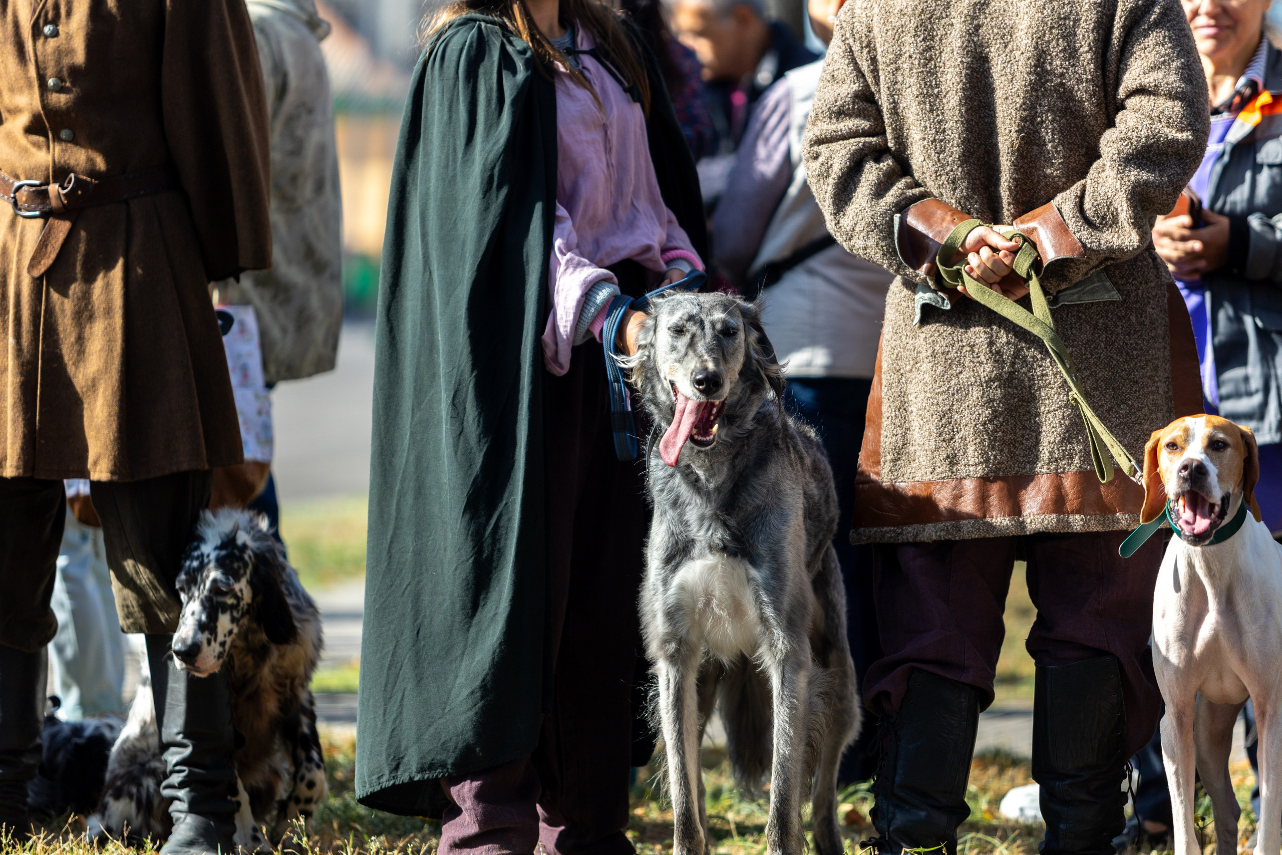 100-летие Пинской Епархии. Парад. Профессиональный интерьерный и репортажный фотограф Минск и РБ. Максим Орлов