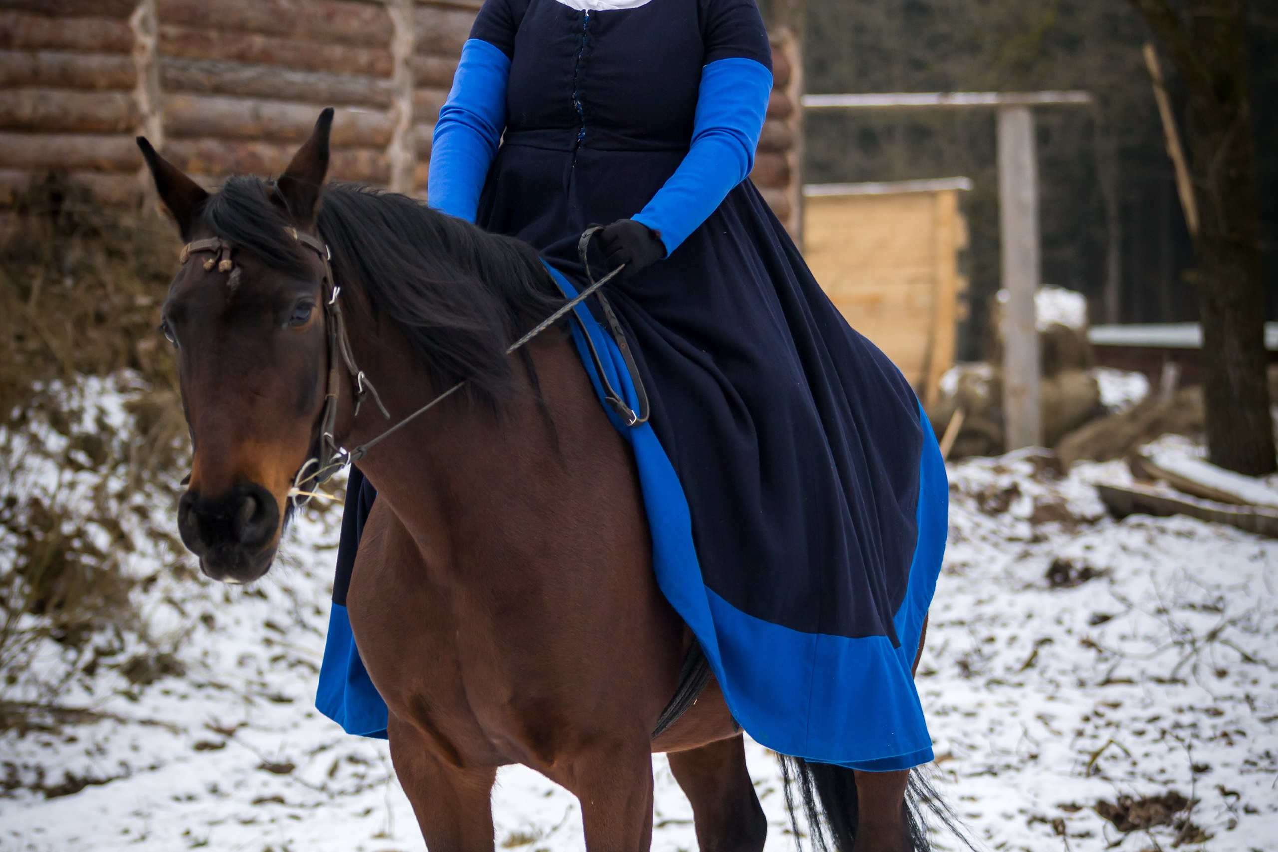 Зимние маневры «Золотой шпоры». 2025. Профессиональный интерьерный и репортажный фотограф Минск и РБ. Максим Орлов