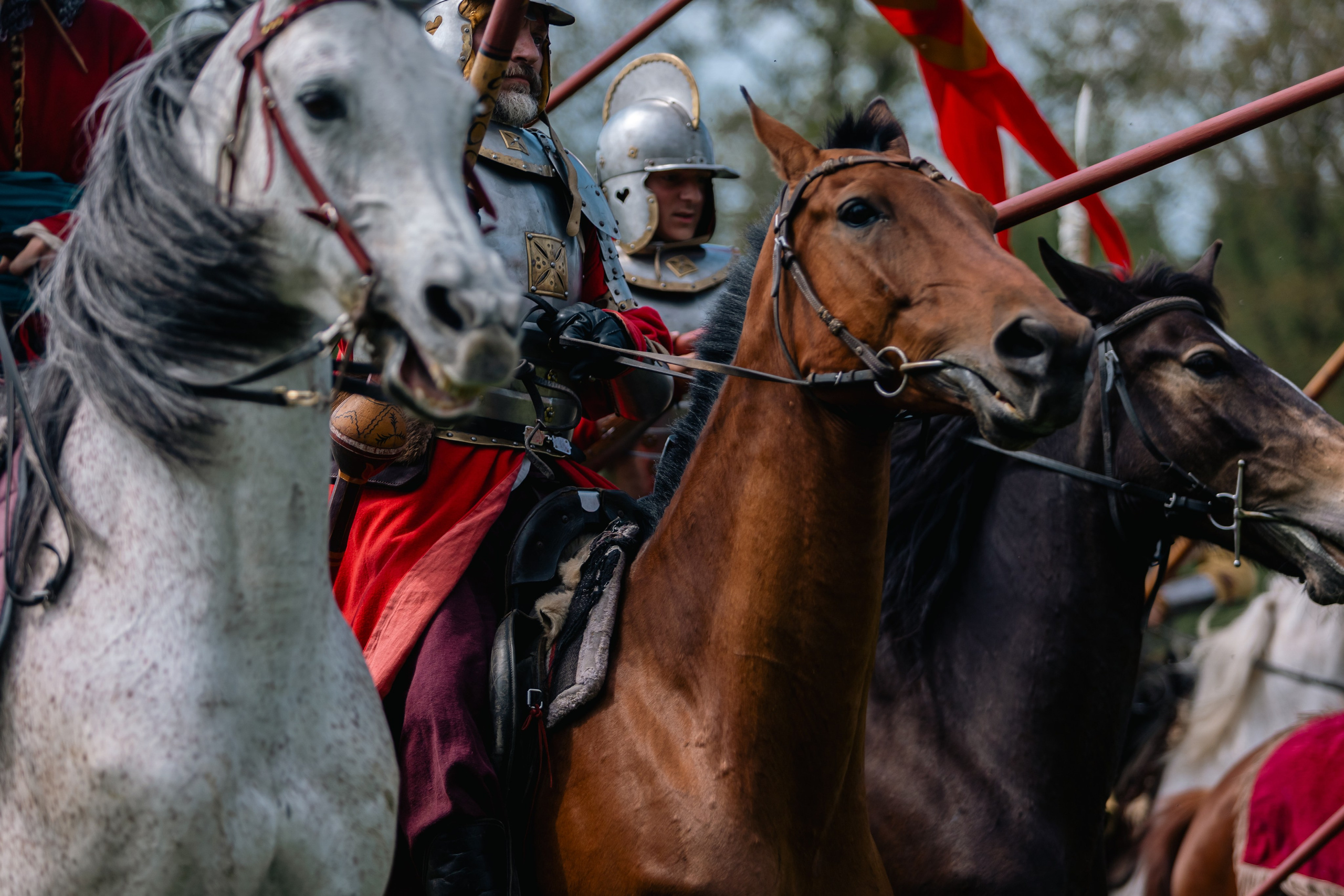 Золотая шпора. Маневры 17 века. Профессиональный интерьерный и репортажный фотограф Минск и РБ. Максим Орлов