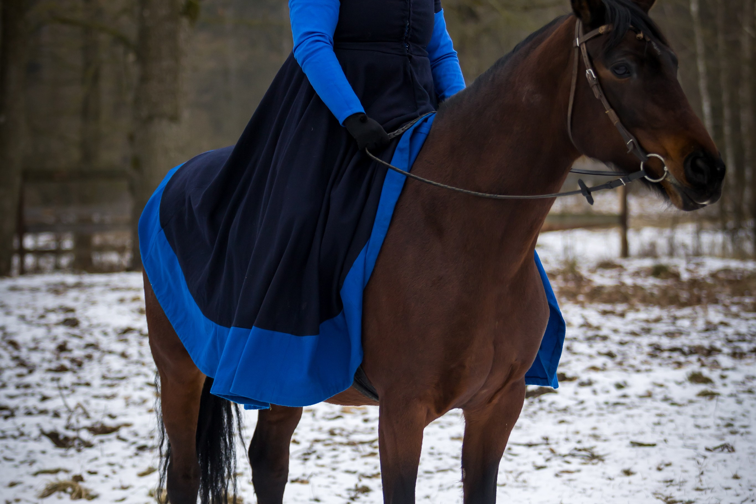 Зимние маневры «Золотой шпоры». 2025. Профессиональный интерьерный и репортажный фотограф Минск и РБ. Максим Орлов