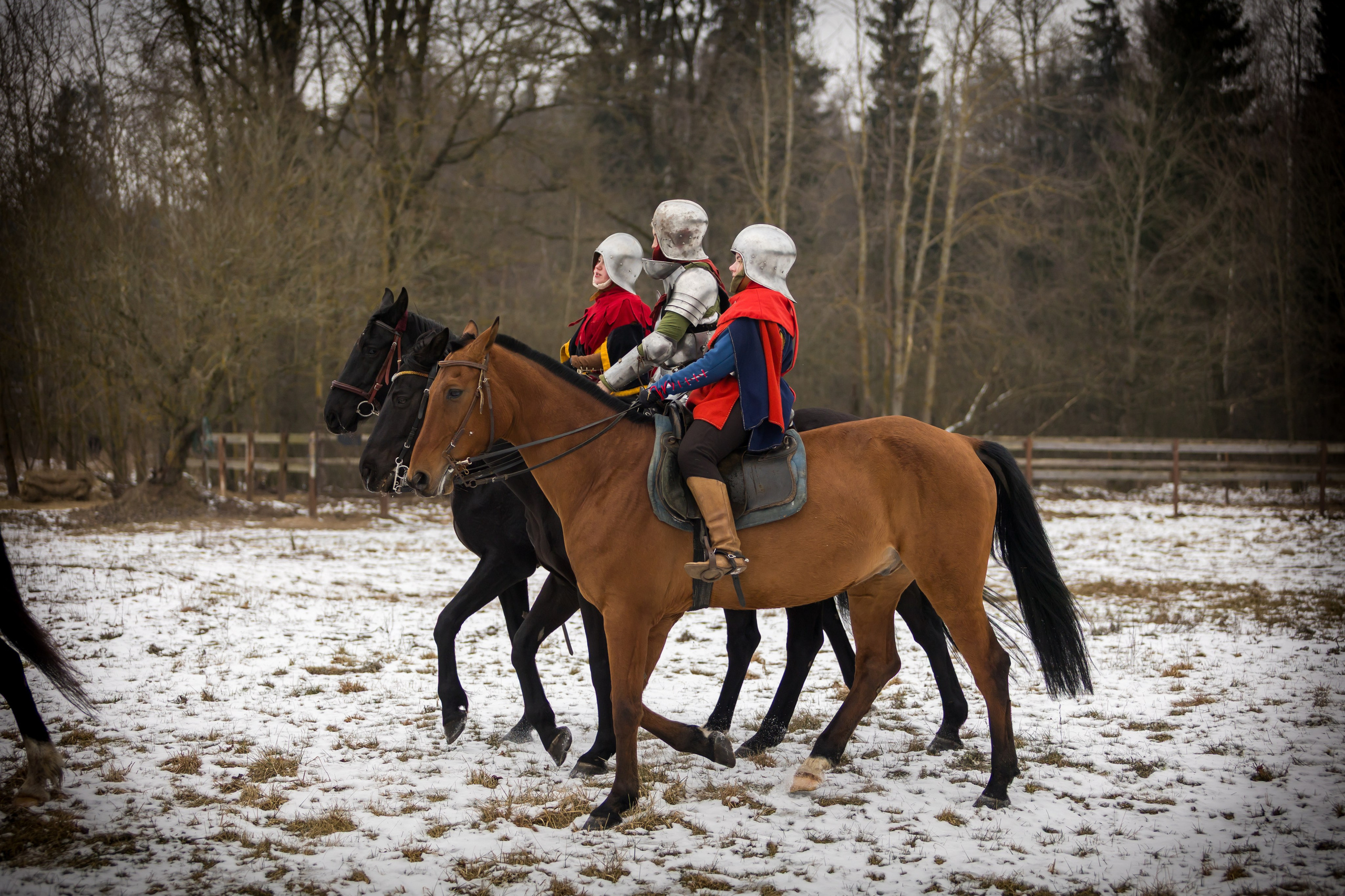 Зимние маневры «Золотой шпоры». 2025. Профессиональный интерьерный и репортажный фотограф Минск и РБ. Максим Орлов