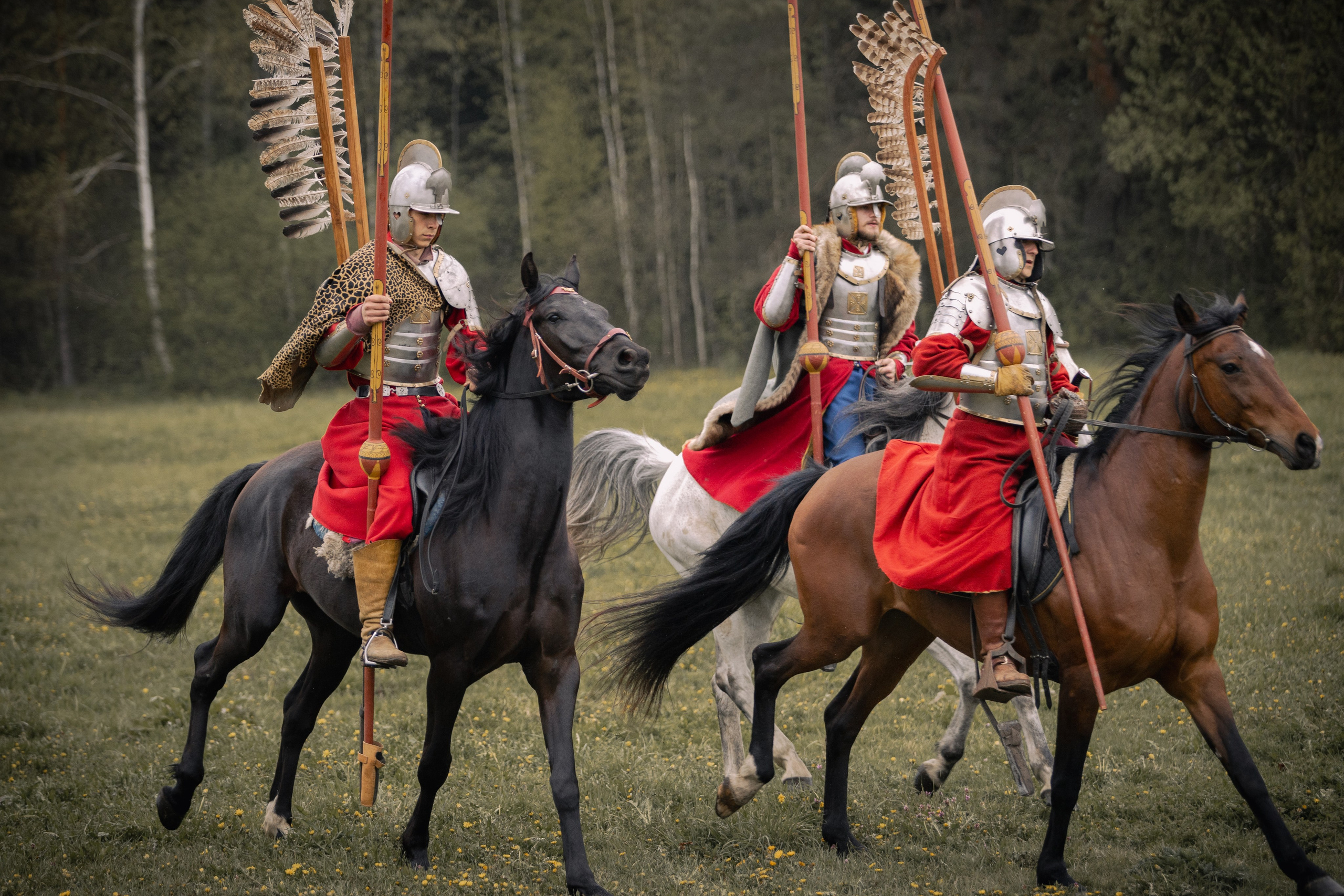 Золотая шпора. Огнем и мечем. День третий. Бой на поле. Профессиональный интерьерный и репортажный фотограф Минск и РБ. Максим Орлов