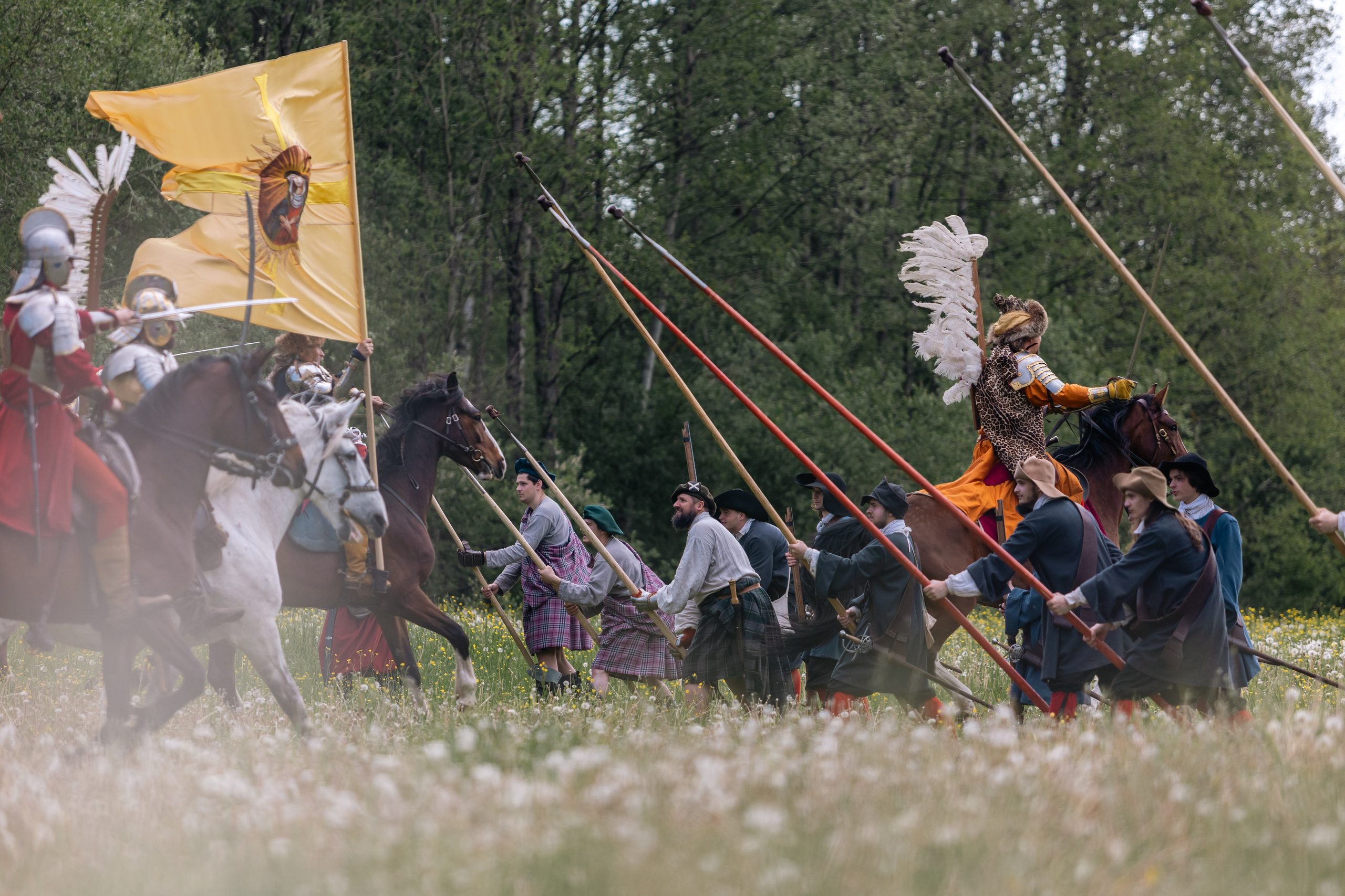 Золотая шпора. Маневры 17 века. Профессиональный интерьерный и репортажный фотограф Минск и РБ. Максим Орлов