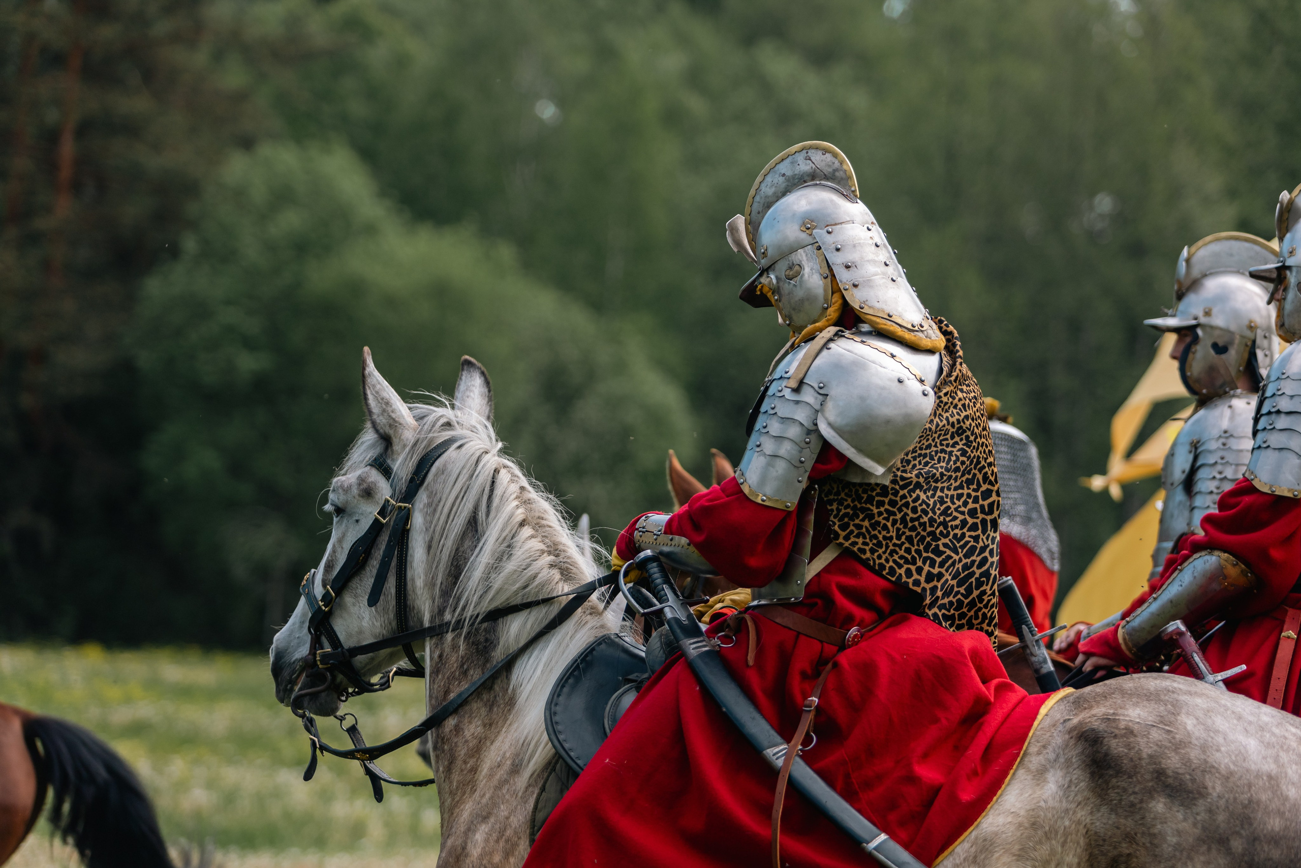 Золотая шпора. Маневры 17 века. Профессиональный интерьерный и репортажный фотограф Минск и РБ. Максим Орлов