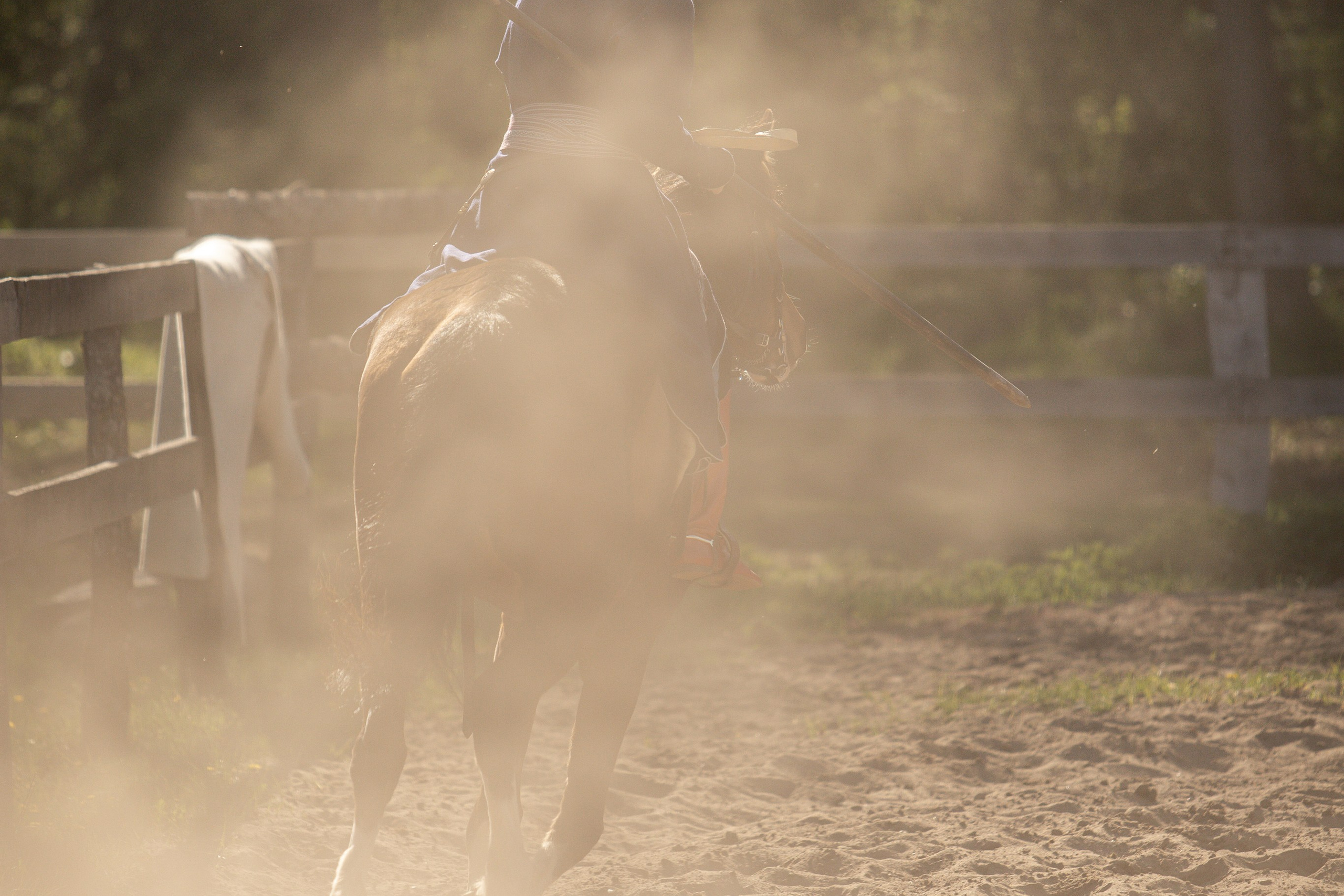 Золотая Шпора. Огнем и Мечем. День первый. Рыцарский турнир. Профессиональный интерьерный и репортажный фотограф Минск и РБ. Максим Орлов
