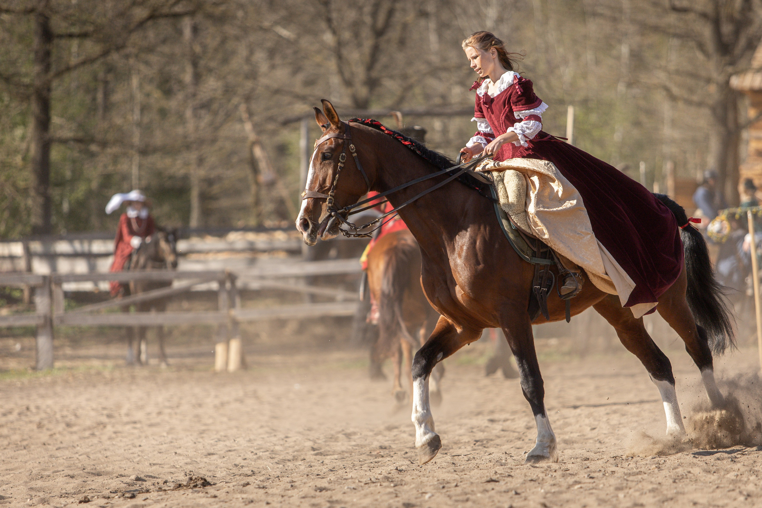 Золотая Шпора. Огнем и Мечем. День первый. Рыцарский турнир. Профессиональный интерьерный и репортажный фотограф Минск и РБ. Максим Орлов