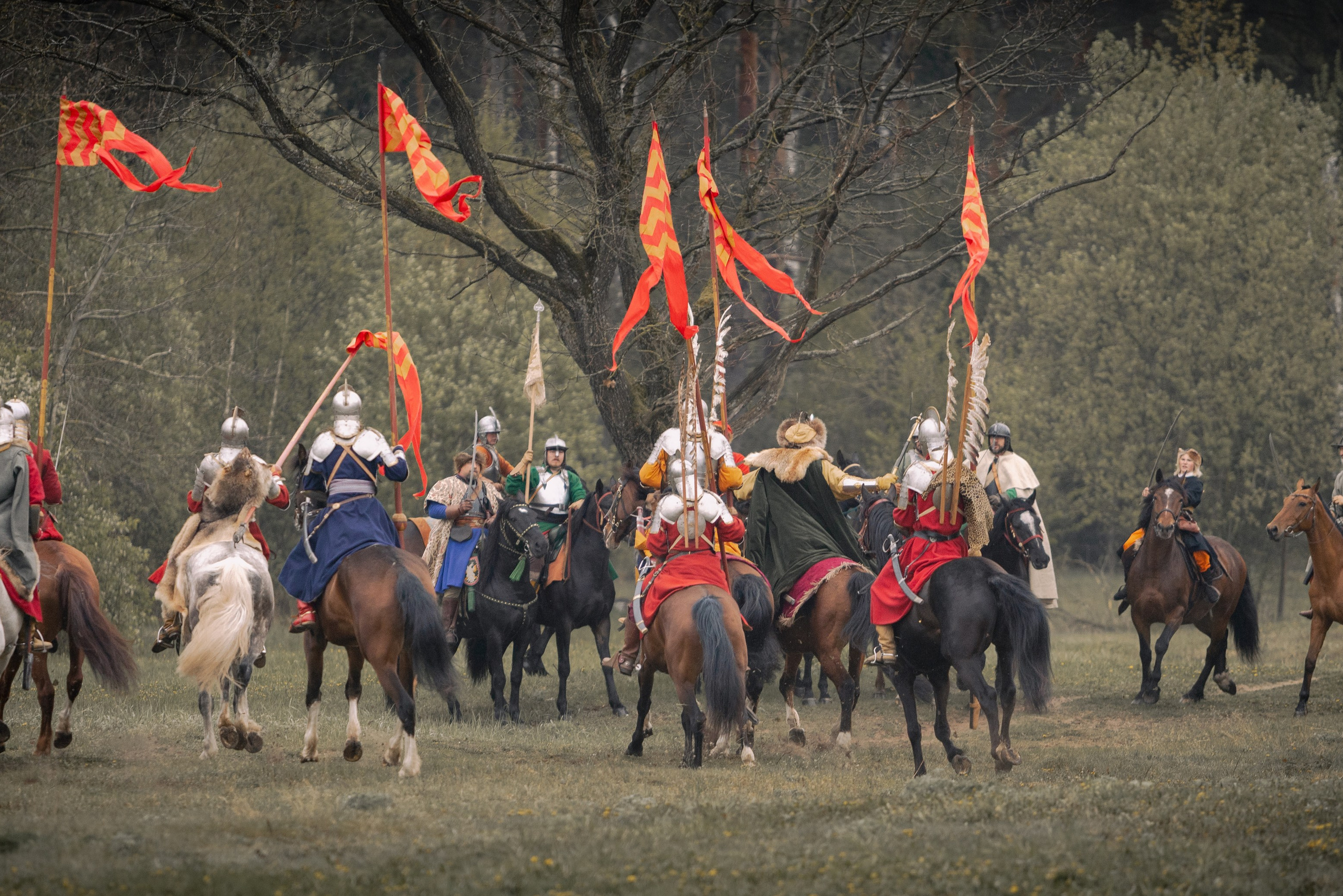 Золотая шпора. Огнем и мечем. День третий. Бой на поле. Профессиональный интерьерный и репортажный фотограф Минск и РБ. Максим Орлов