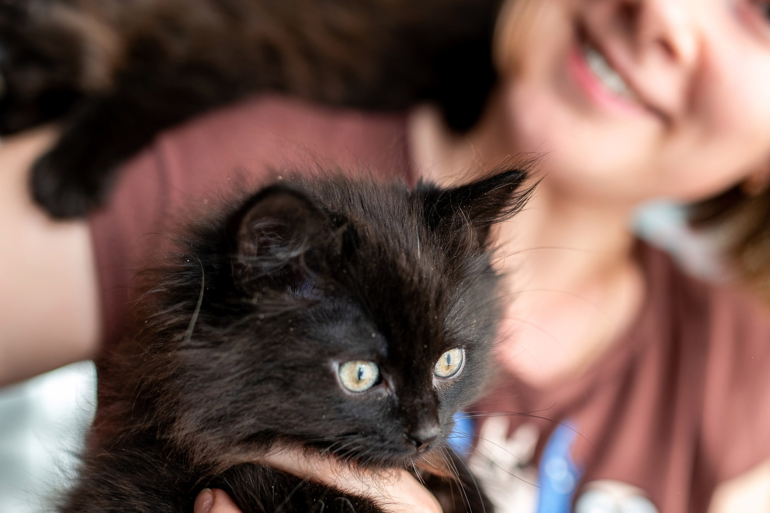 Котики для Old Cat. Профессиональный интерьерный и репортажный фотограф Минск и РБ. Максим Орлов