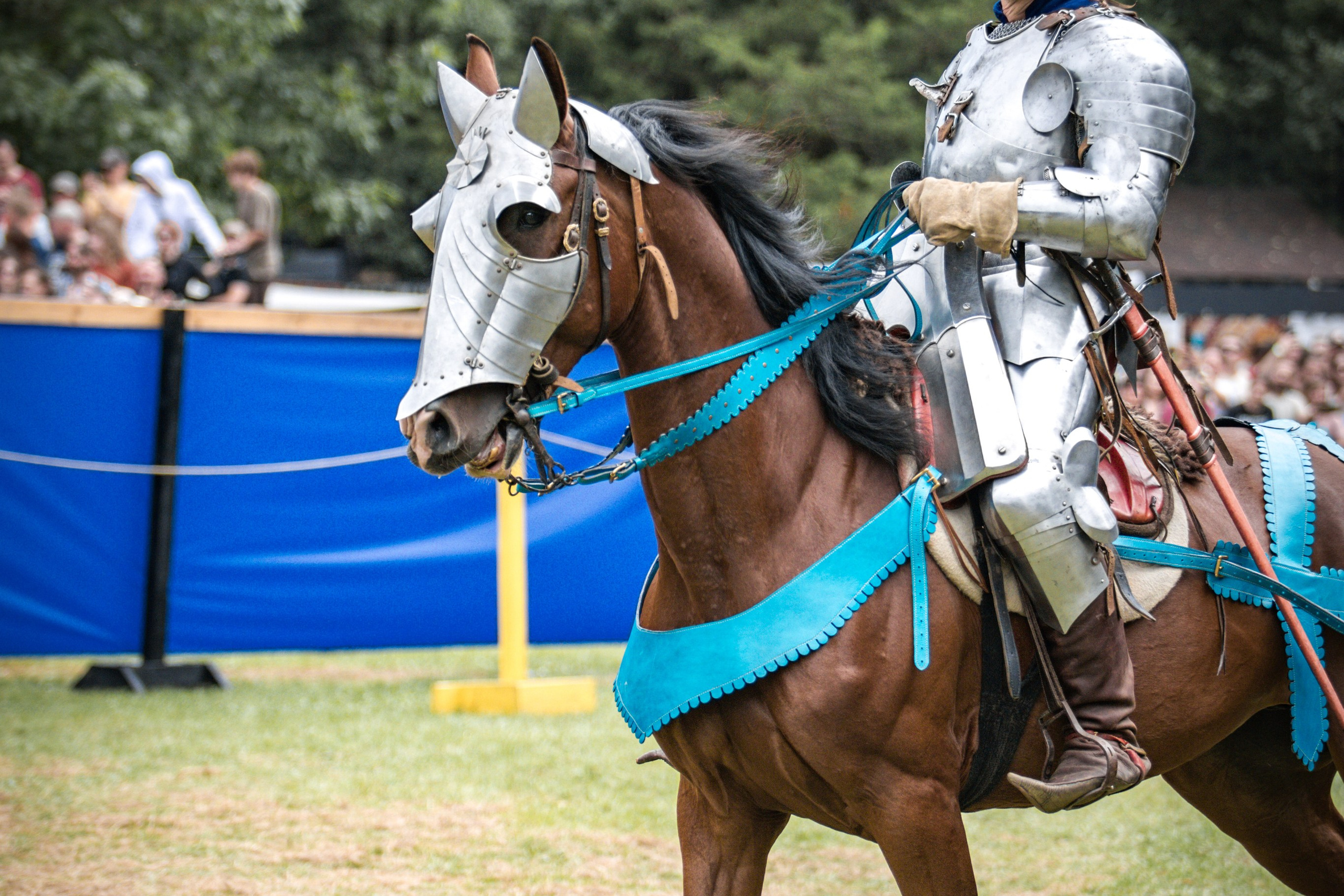 Наш Грюнвальд 2025. Рыцарский турнир. Профессиональный интерьерный и репортажный фотограф Минск и РБ. Максим Орлов